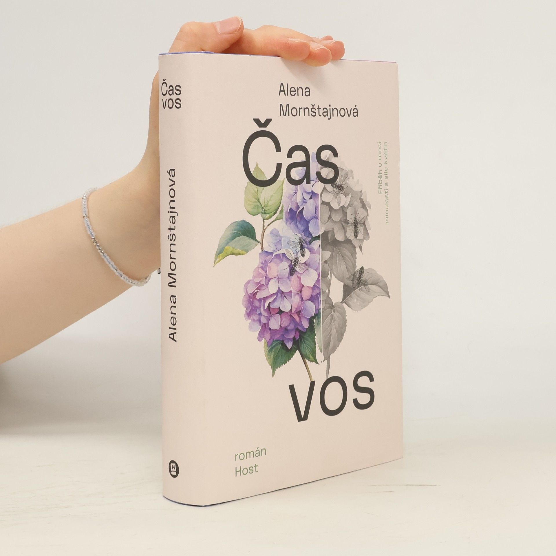 Alena Mornštajnová Čas vos