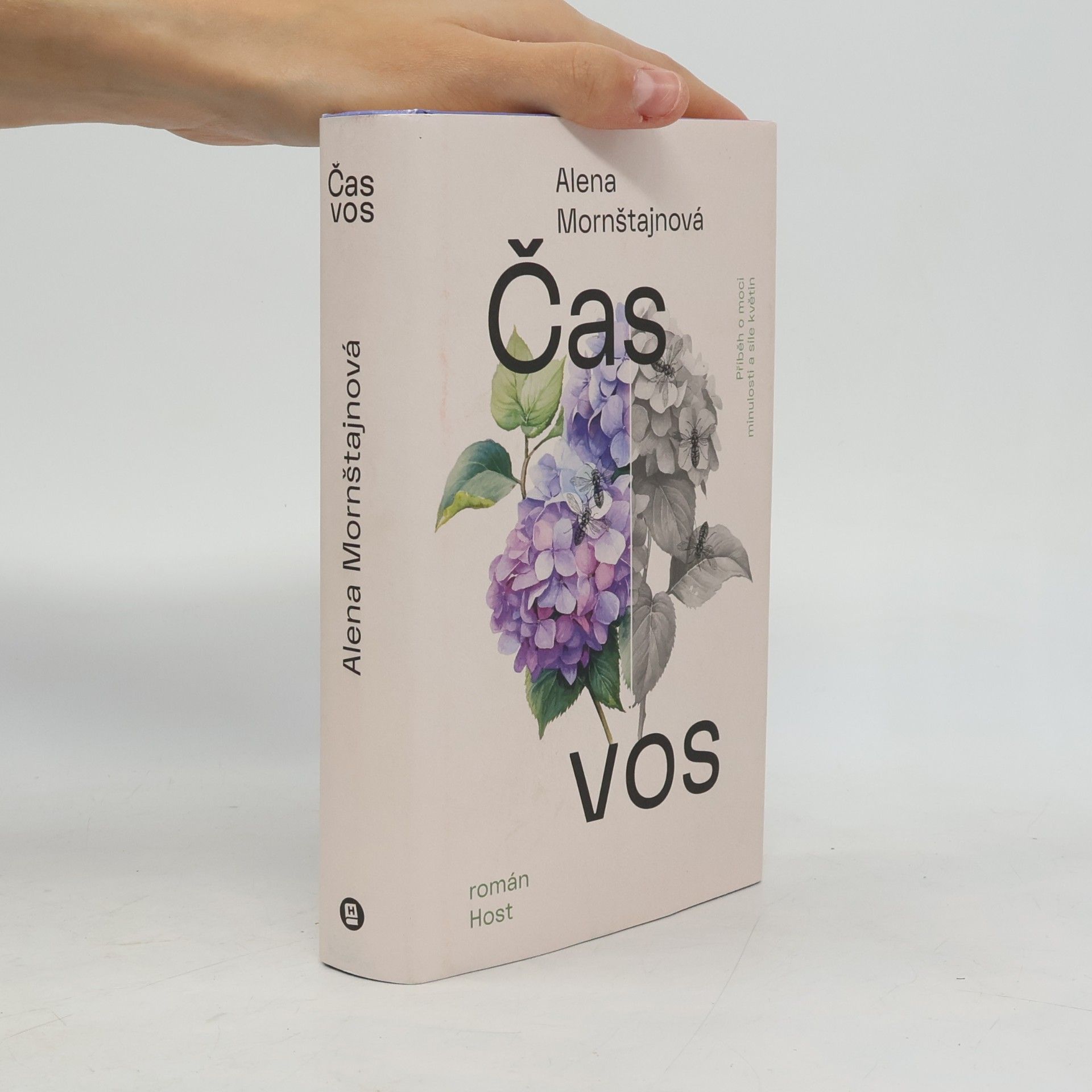 Alena Mornštajnová Čas vos