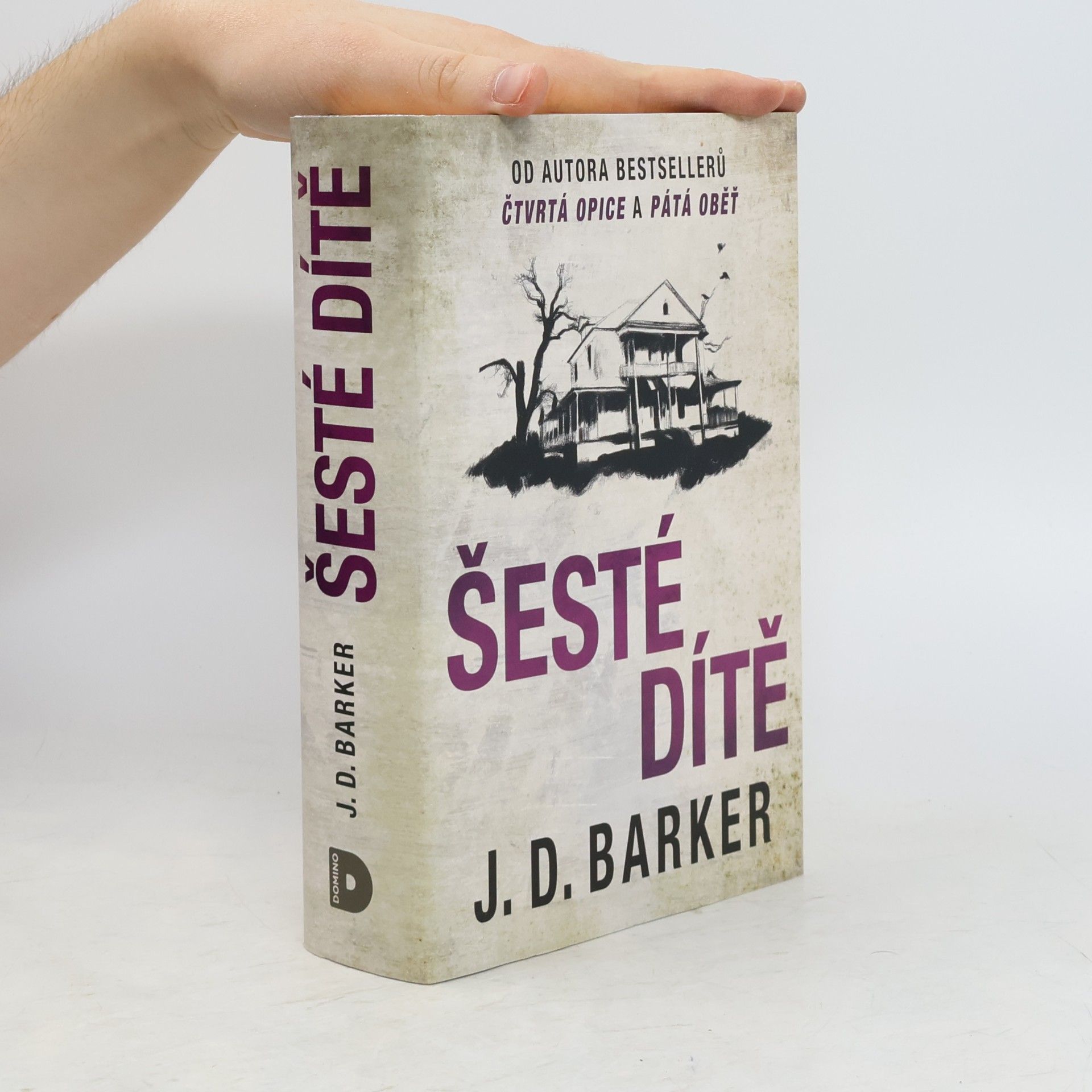 Šesté dítě