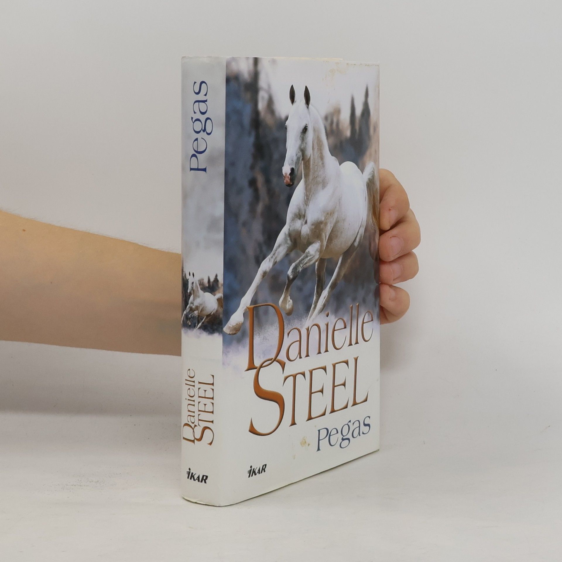 Danielle Steel Pegas