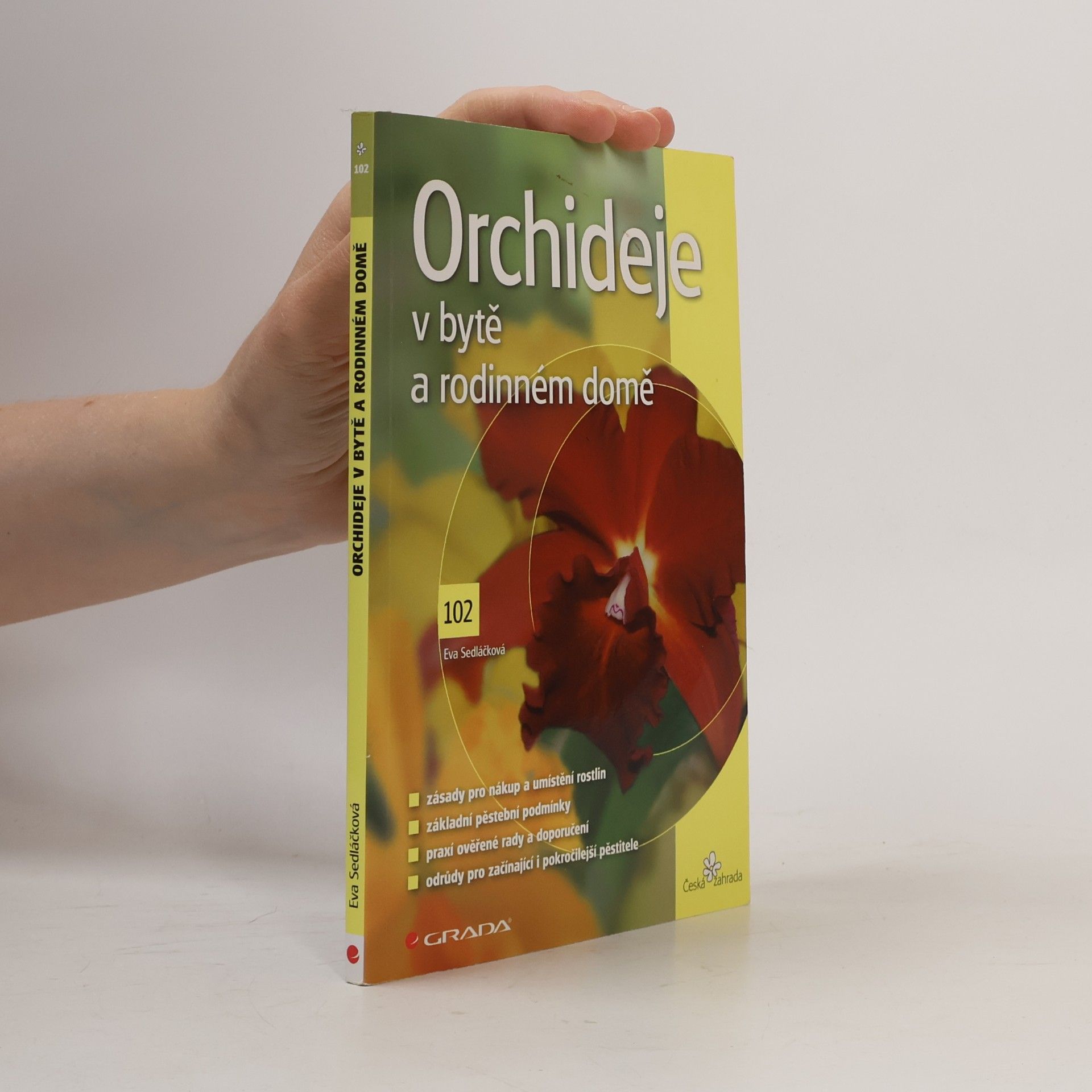 Eva Sedláčková Orchideje v bytě a rodinném domě