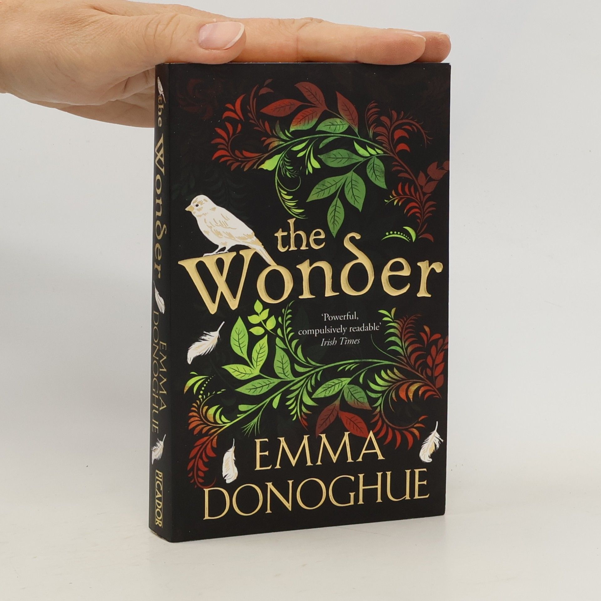 Emma Donoghue The Wonder