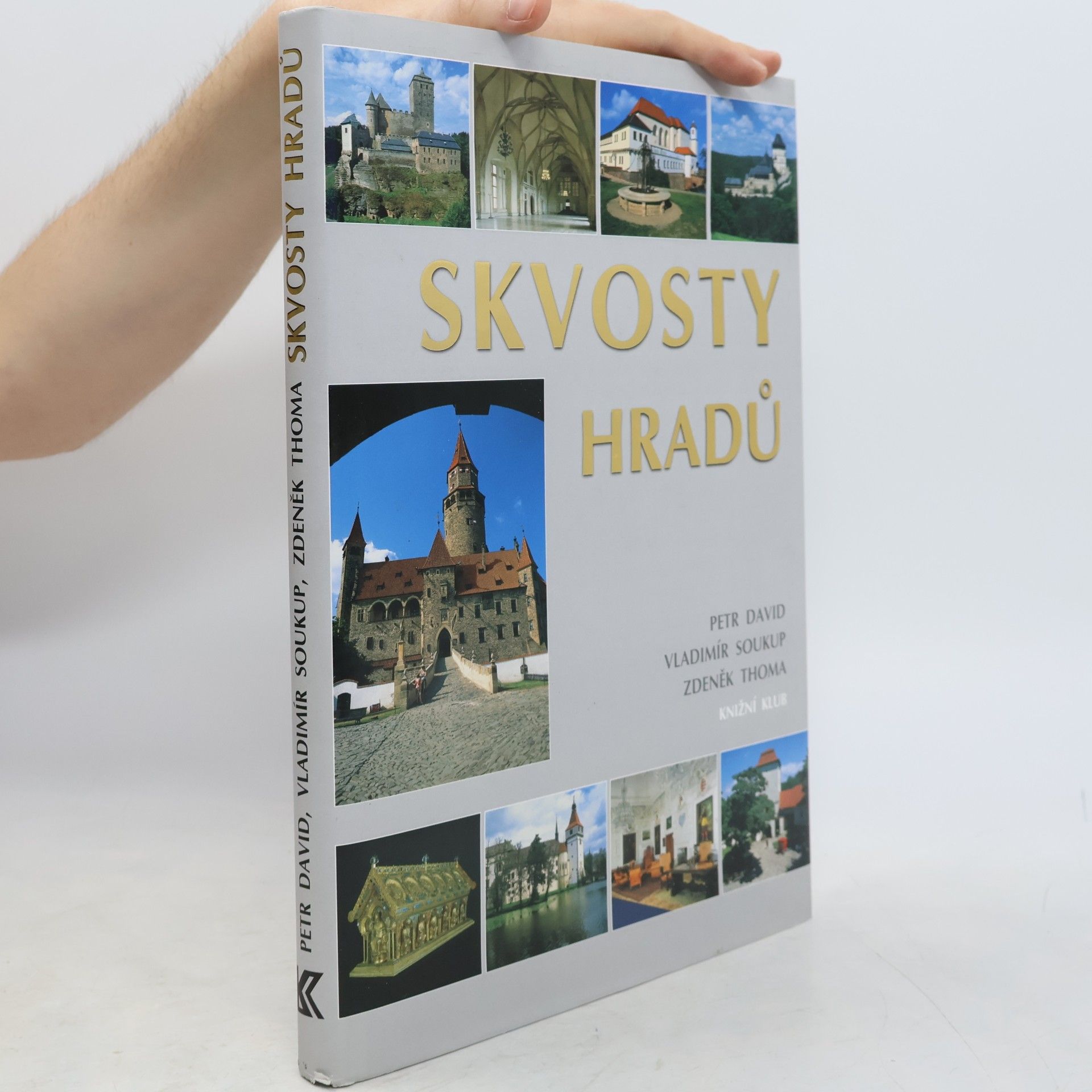 Peter David Skvosty hradů