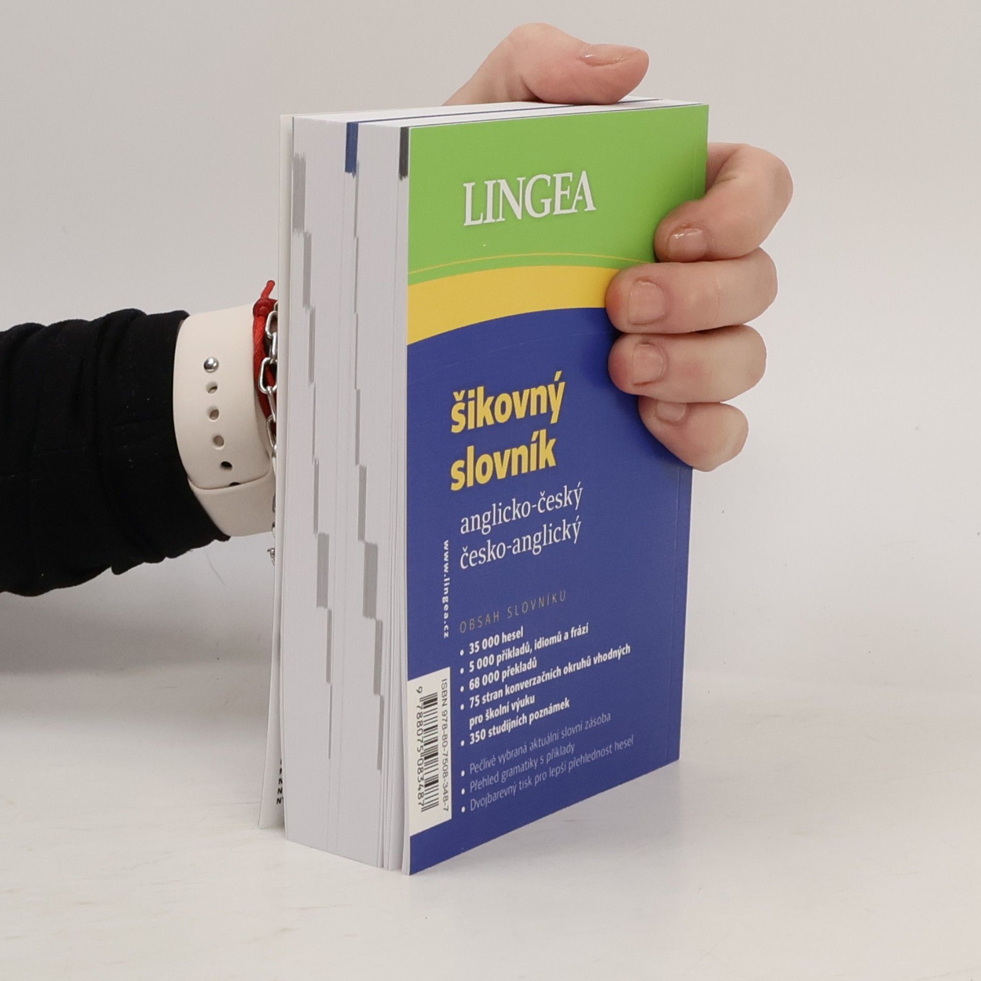 Kolektív autorov Šikovný slovník anglicko-český, česko-anglický