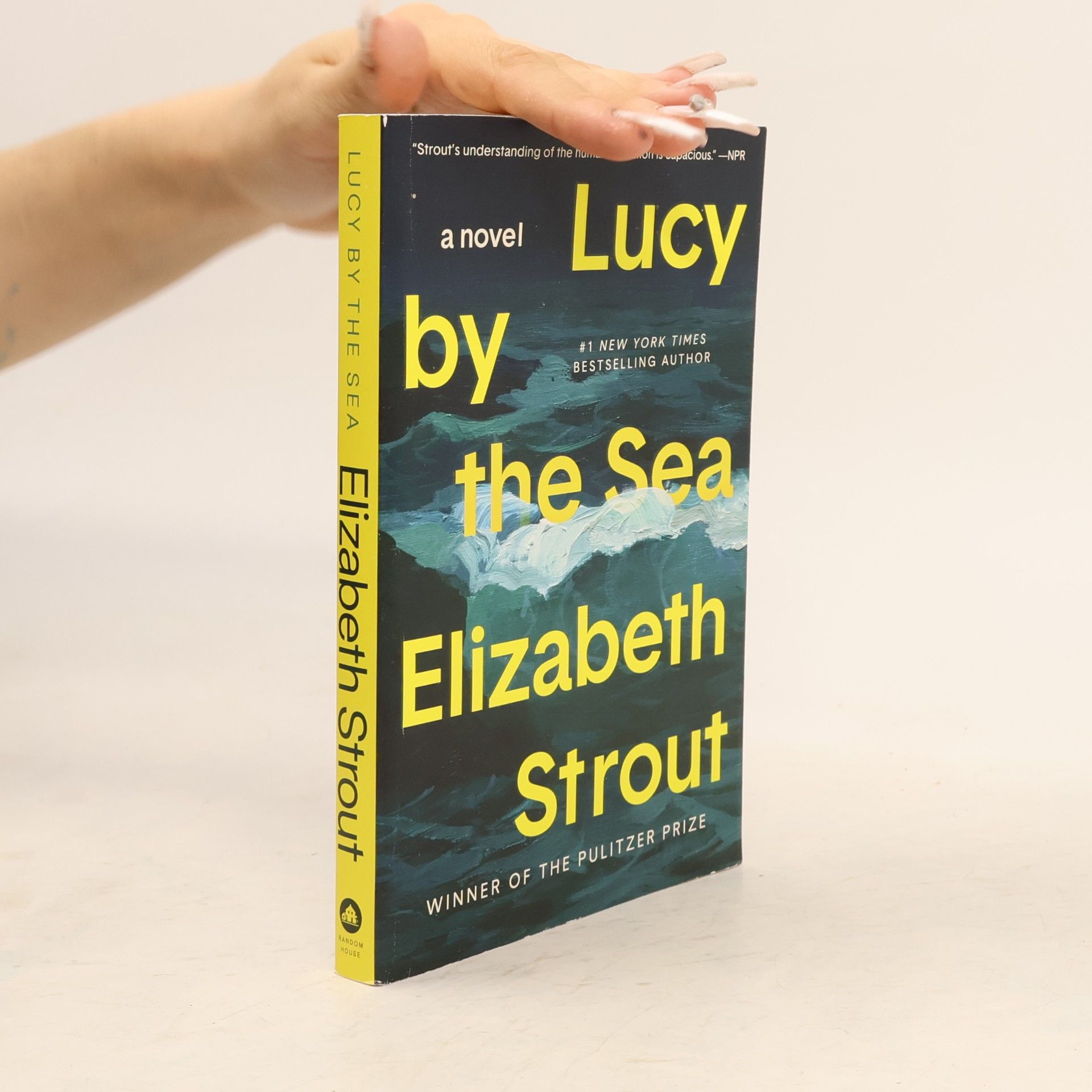 Elizabeth Strout Lucy by the Sea