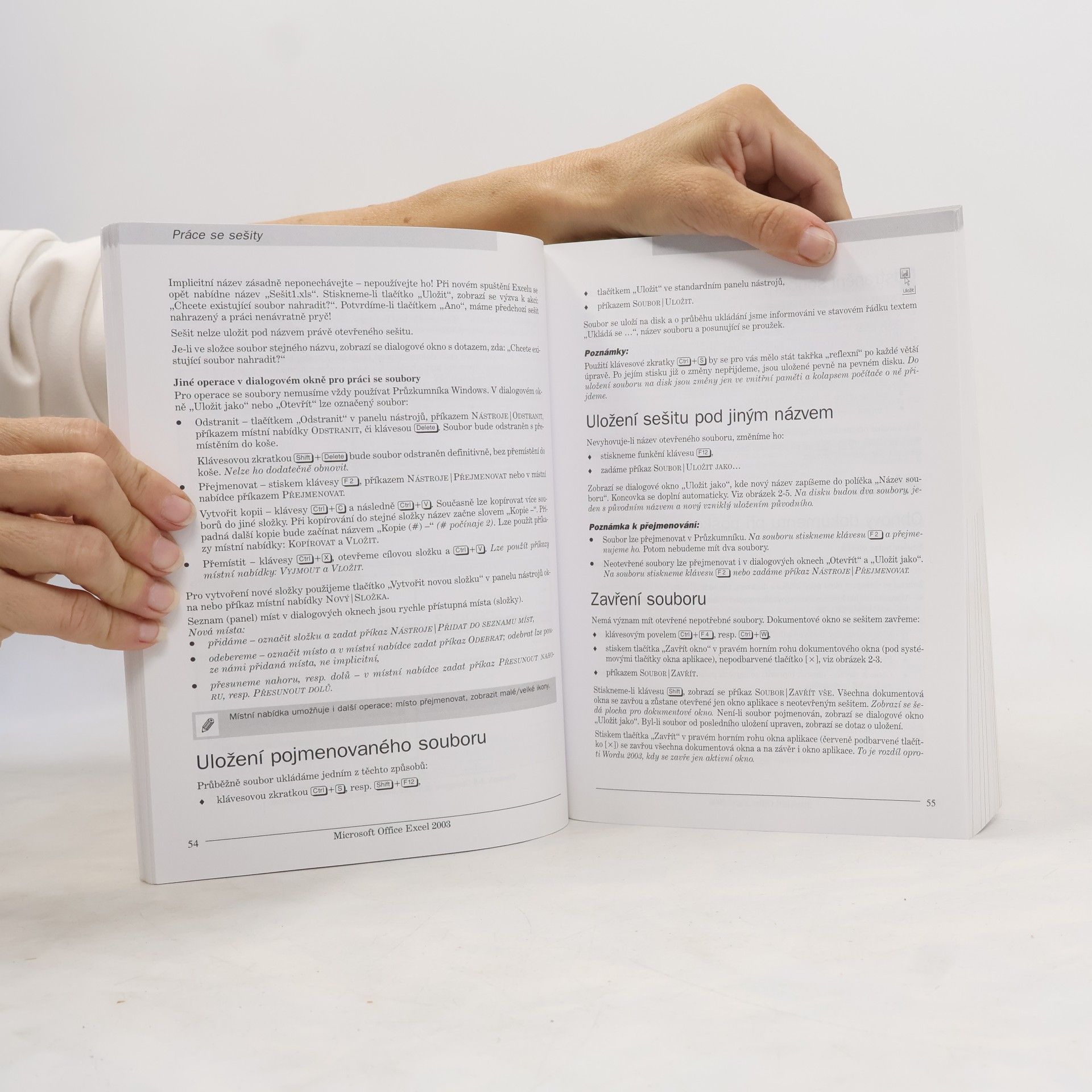 Milan Brož Microsoft Office Excel 2003 : podrobná uživatelská příručka