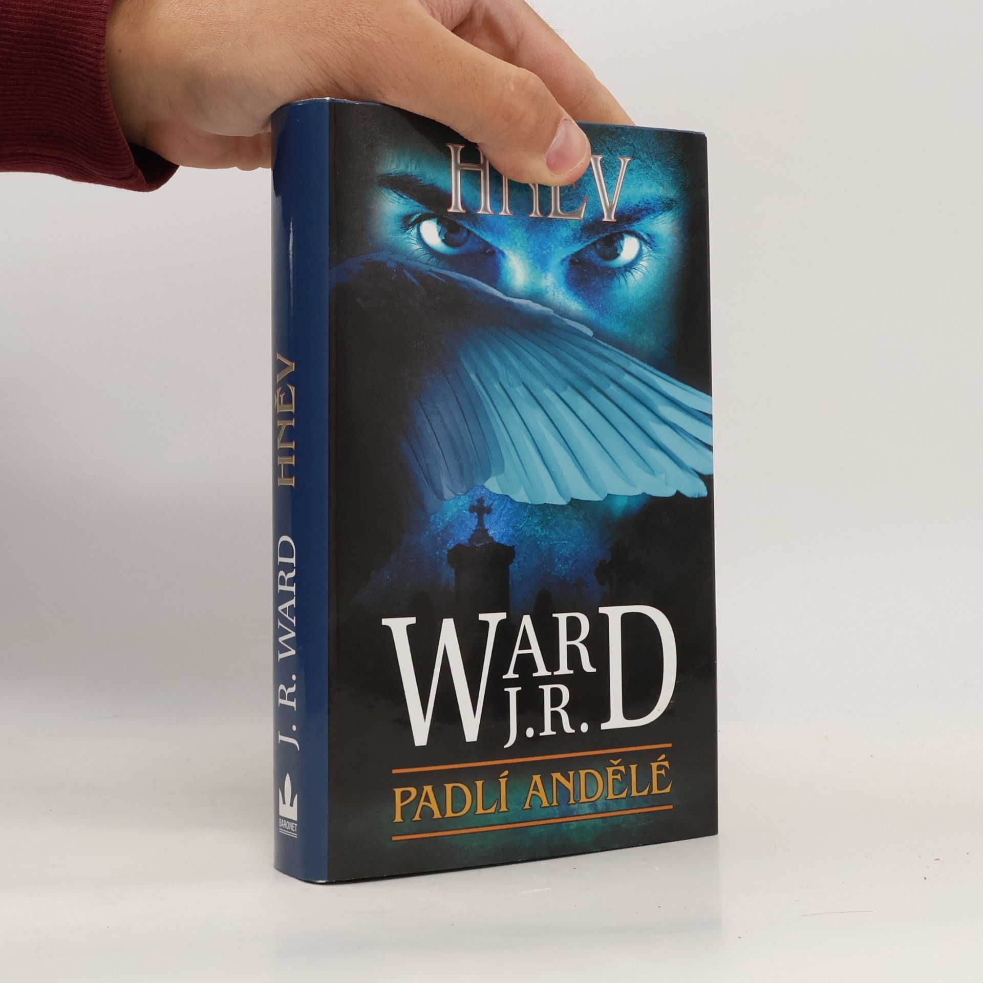 J. R. Ward Hněv. Padlí andělé. 4. díl