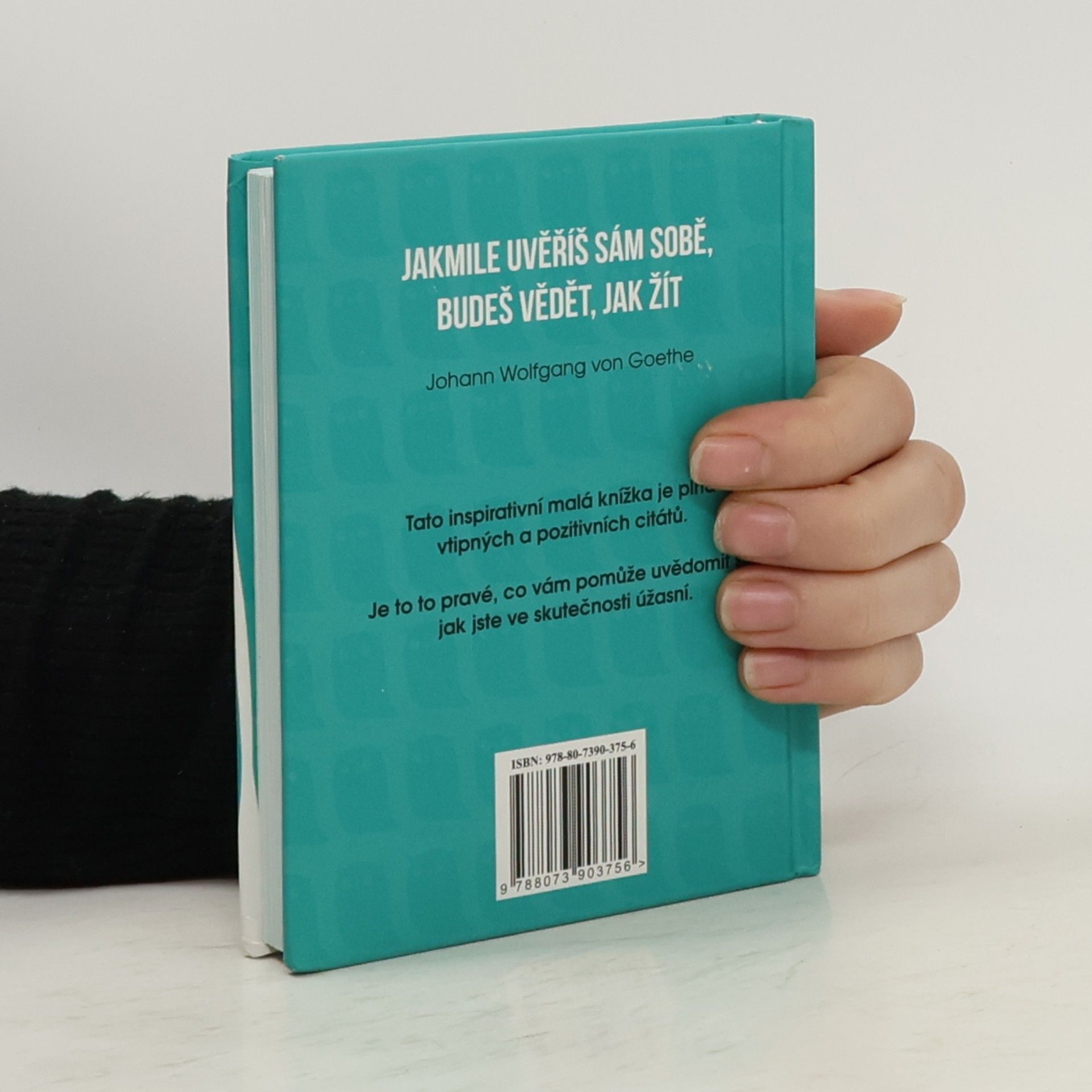 Běla Sýkorová Věř sám sobě: jsi úžasný