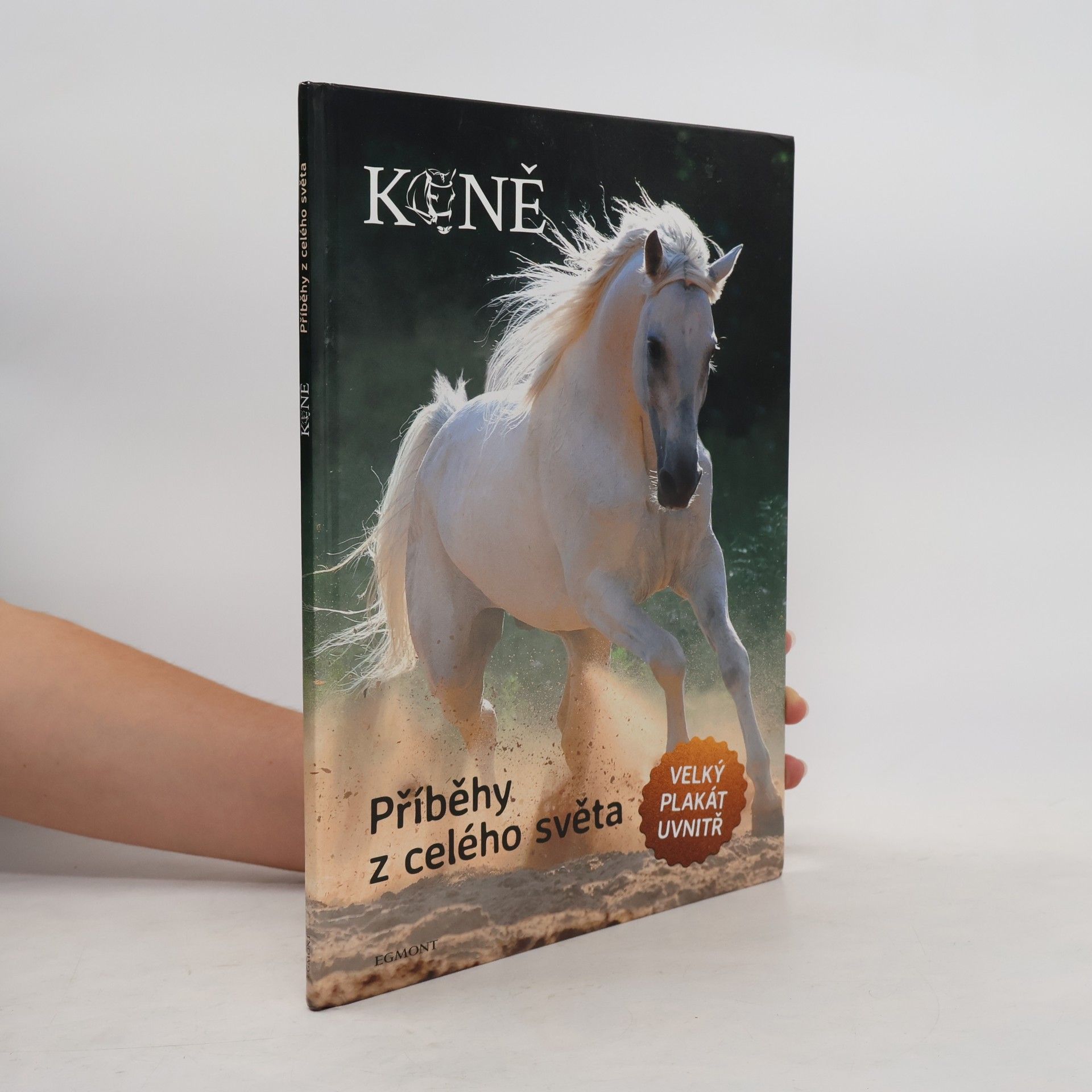 Autorenkollektiv Koně : příběhy z celého světa