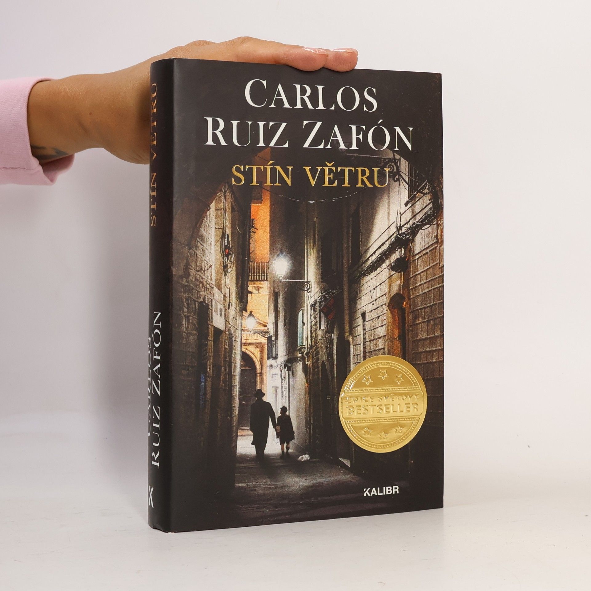 Carlos Ruiz Zafón Stín větru