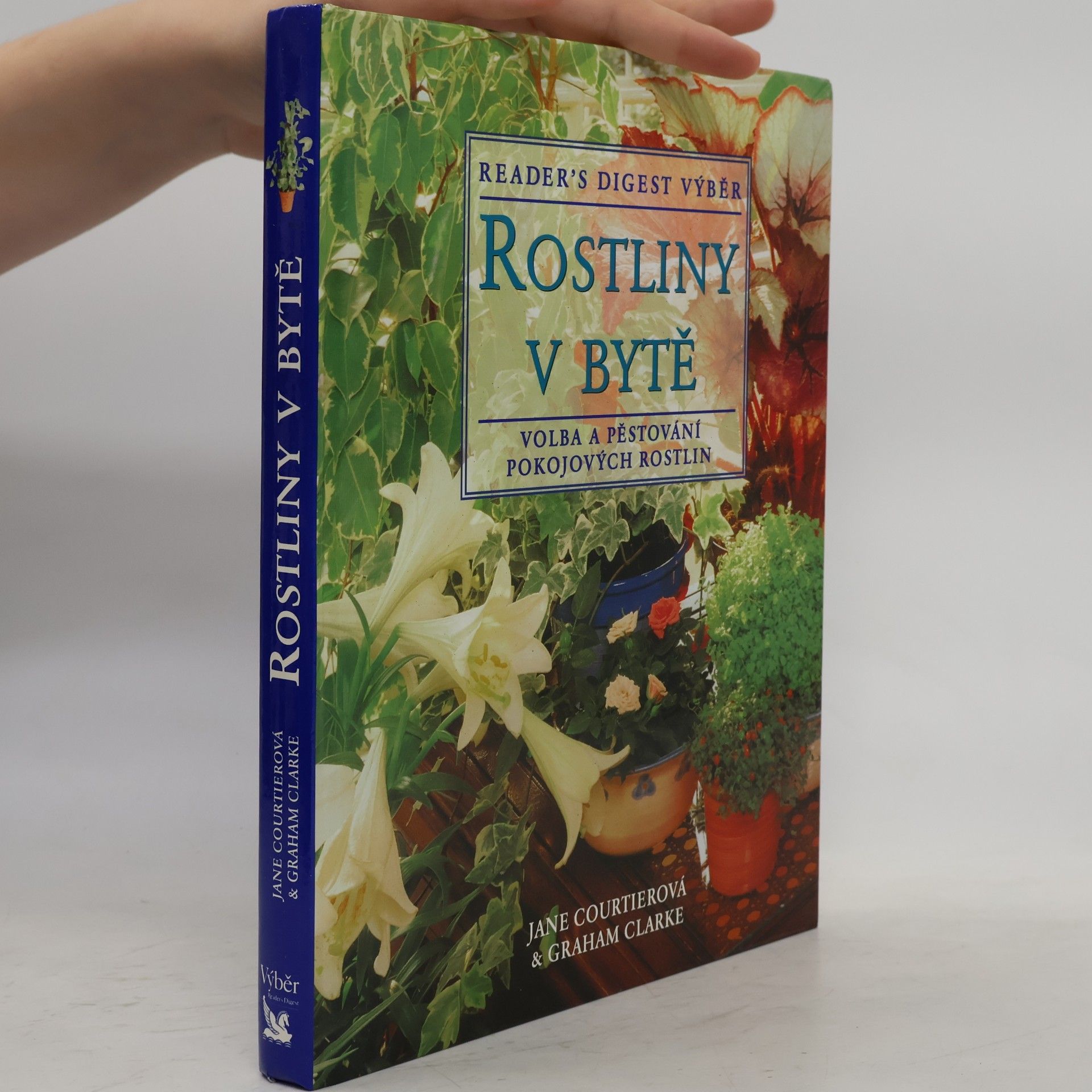 Rostliny v bytě
