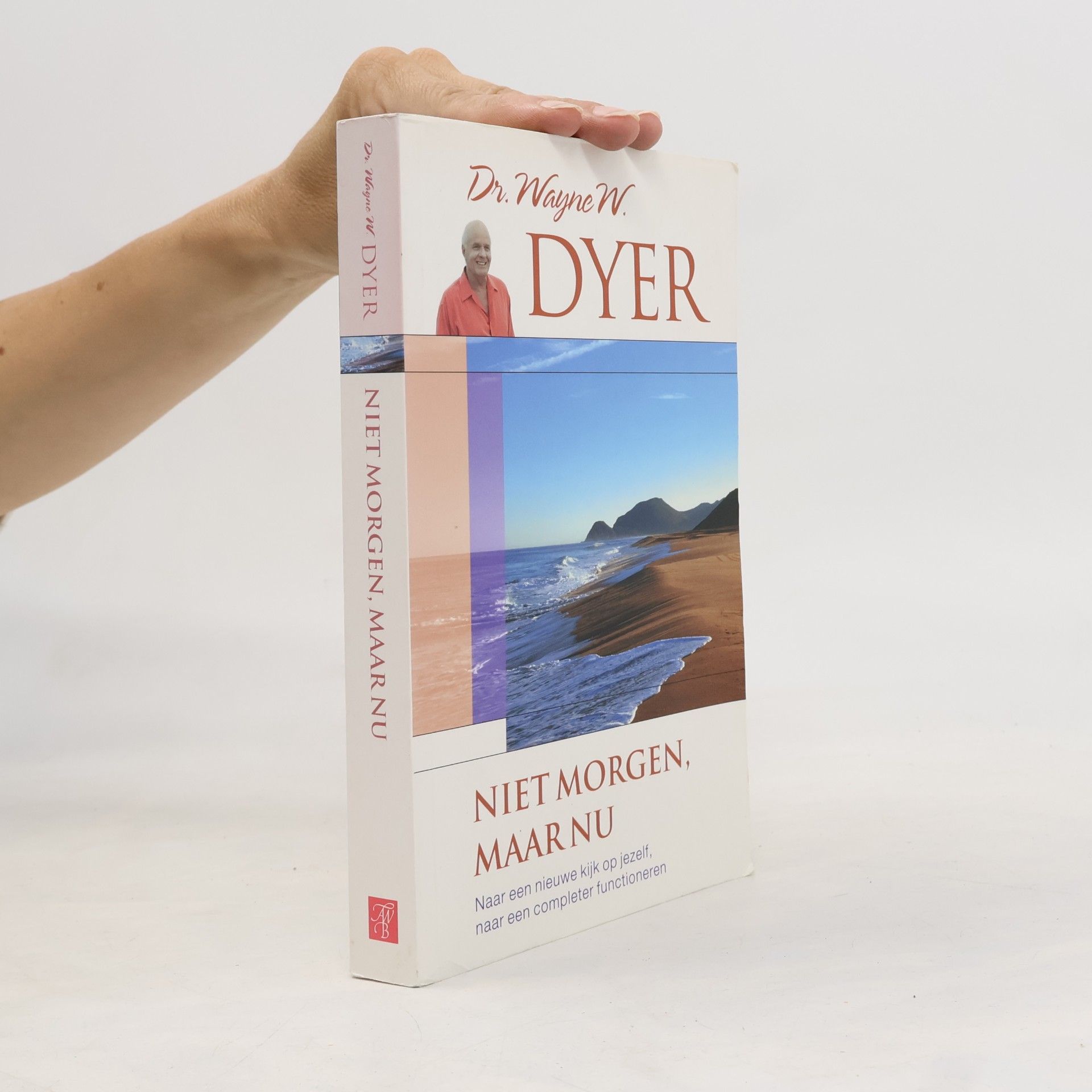 Wayne Walter Dyer Niet morgen maar nu - druk 54