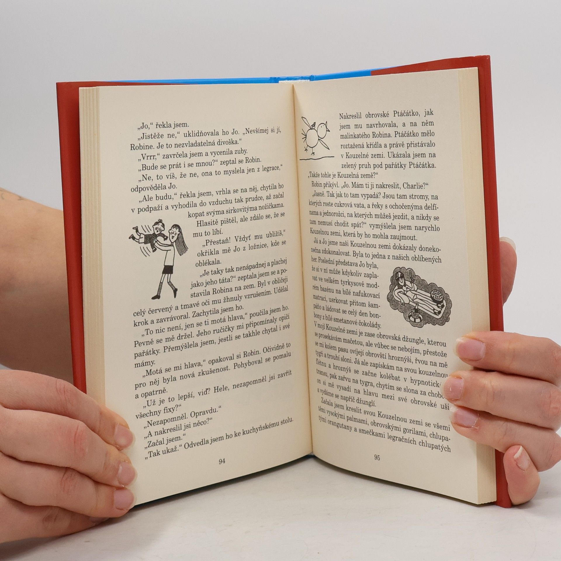 Jacqueline Wilson Projekt Loty
