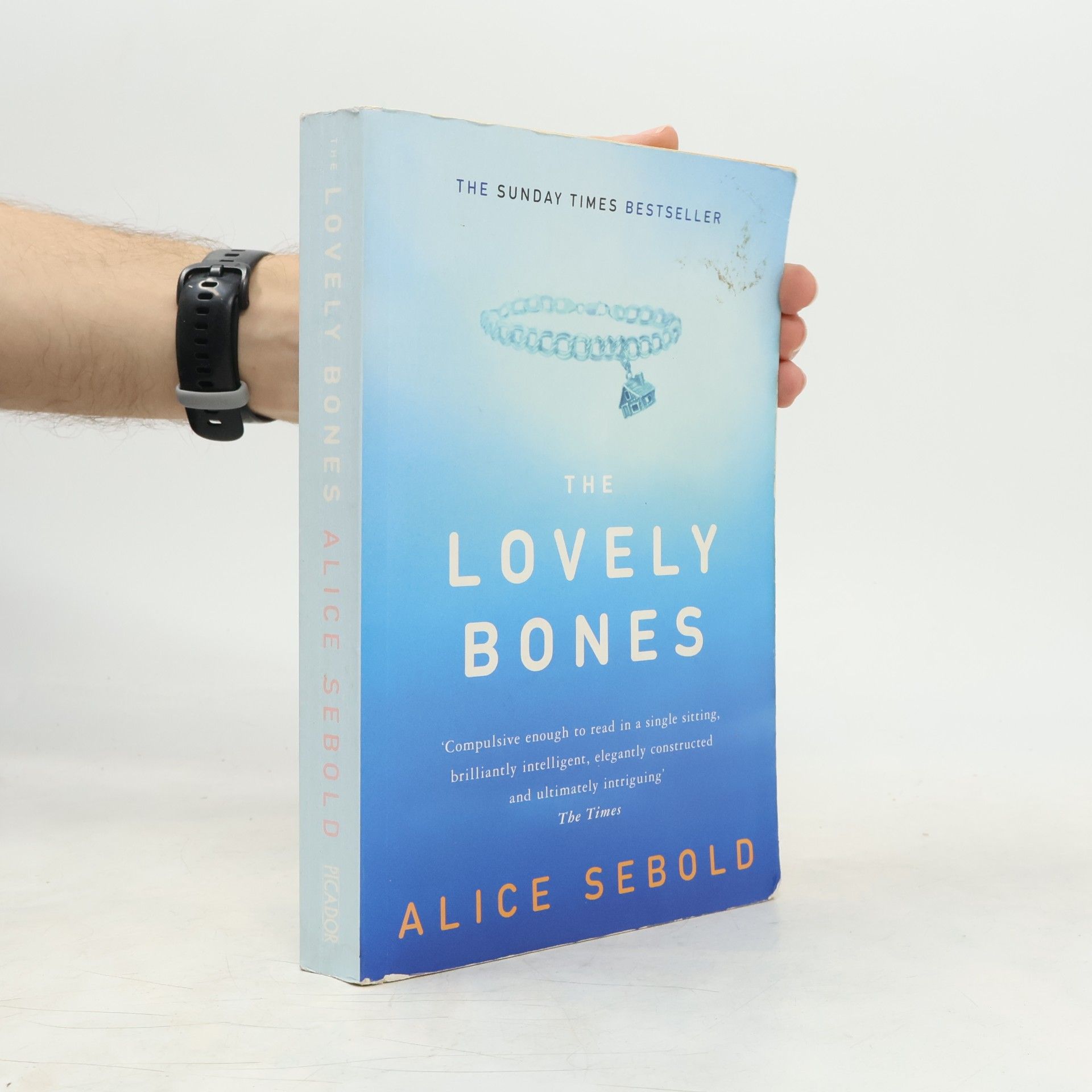 Alice Sebold The Lovely Bones
