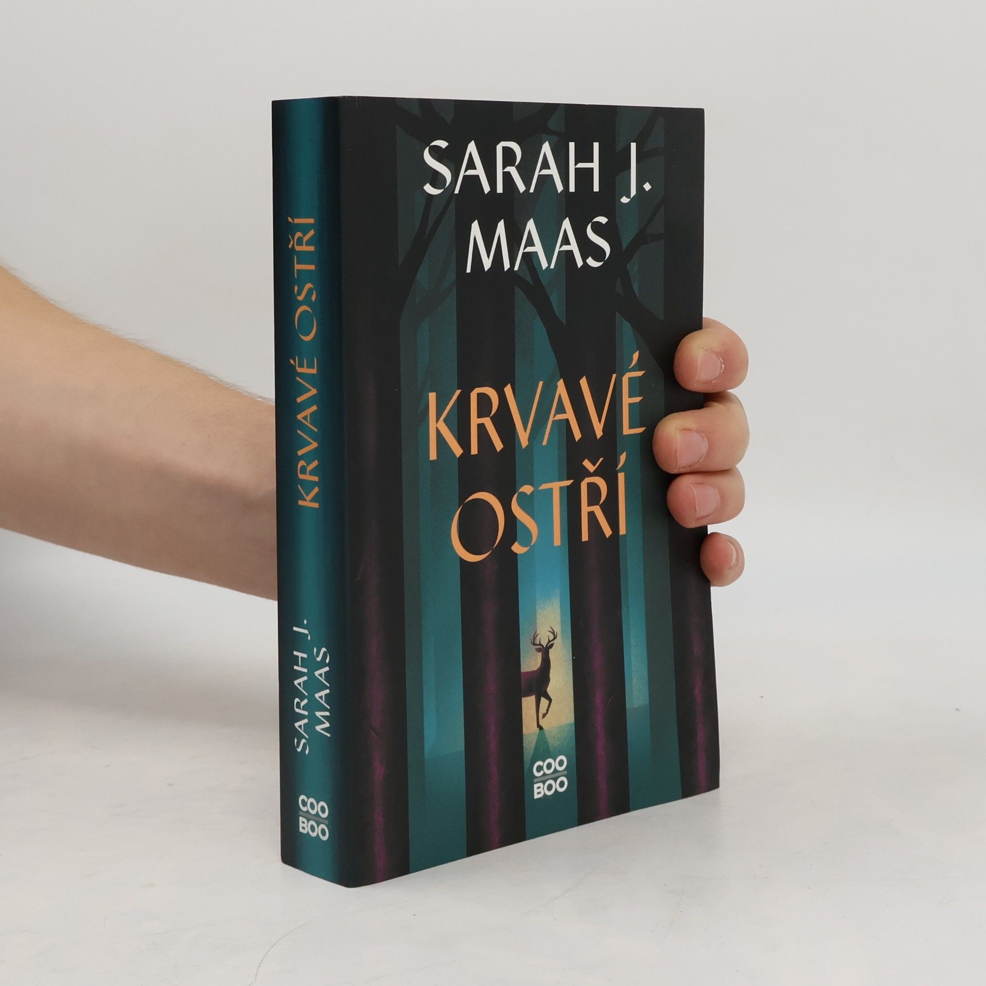 Sarah J. Maas Krvavé ostří