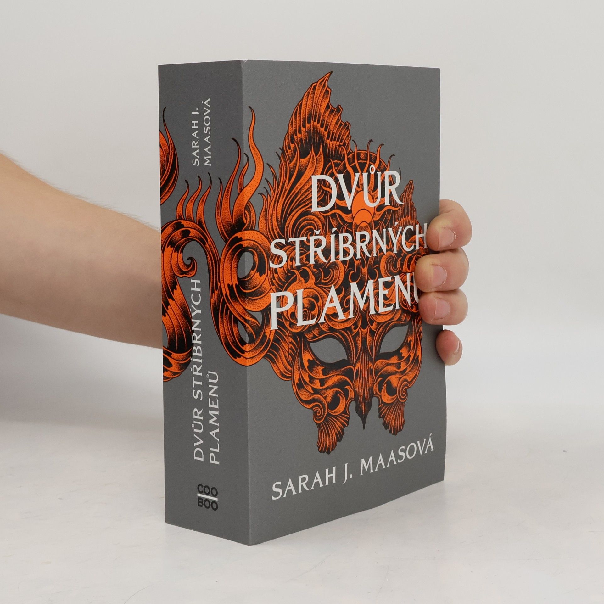 Sarah J. Maas Dvůr stříbrných plamenů