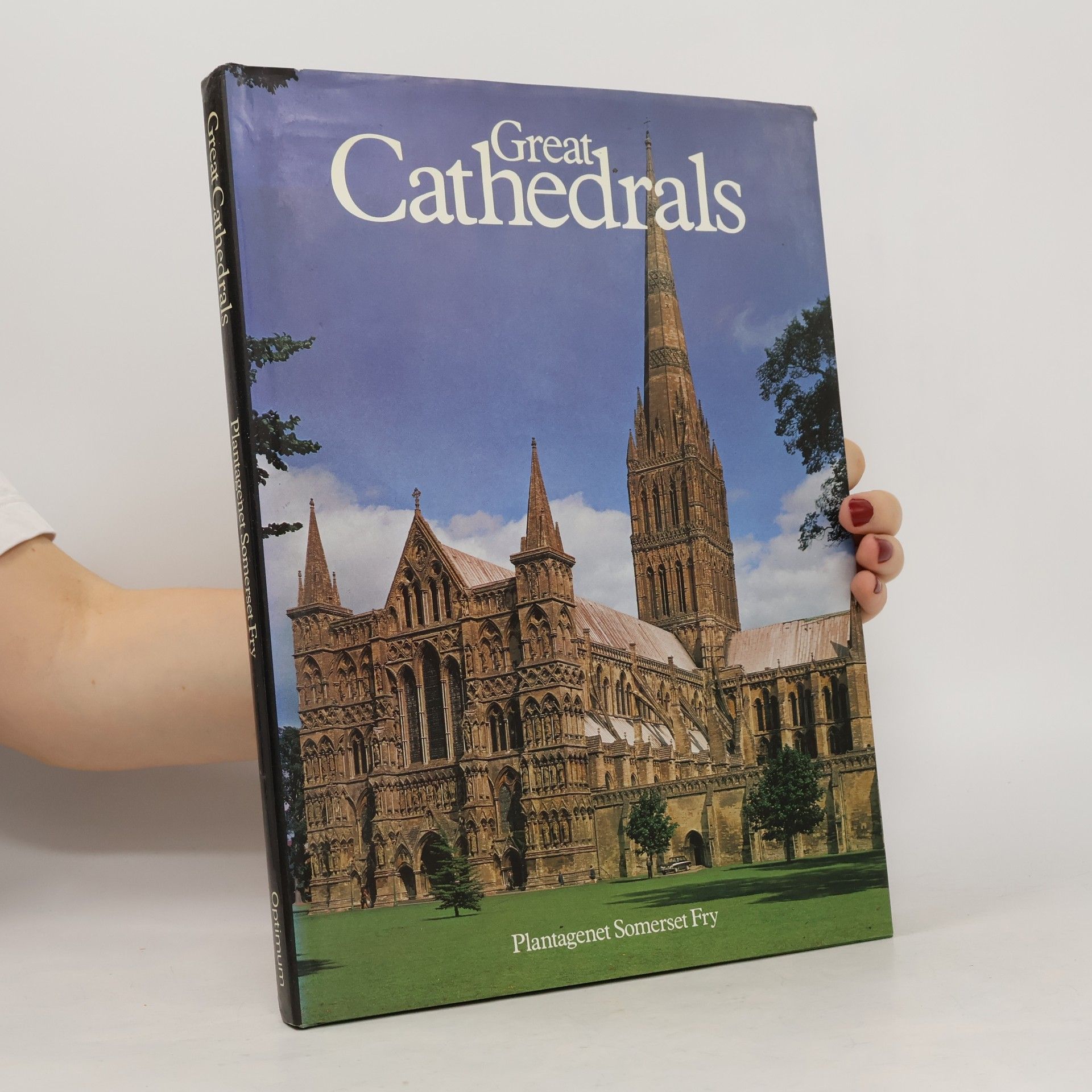 Plantagenet Somerset Fry Great Cathedrals