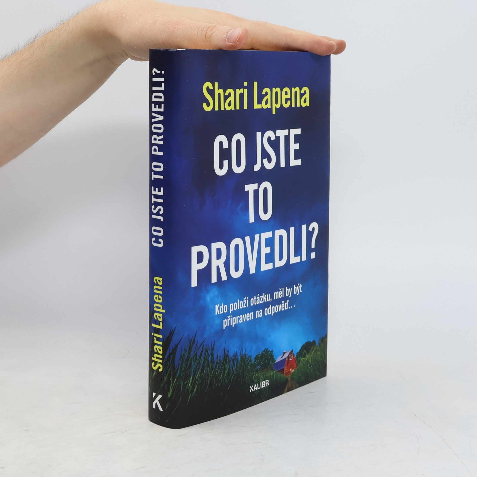 Shari Lapena Co jste to provedli?