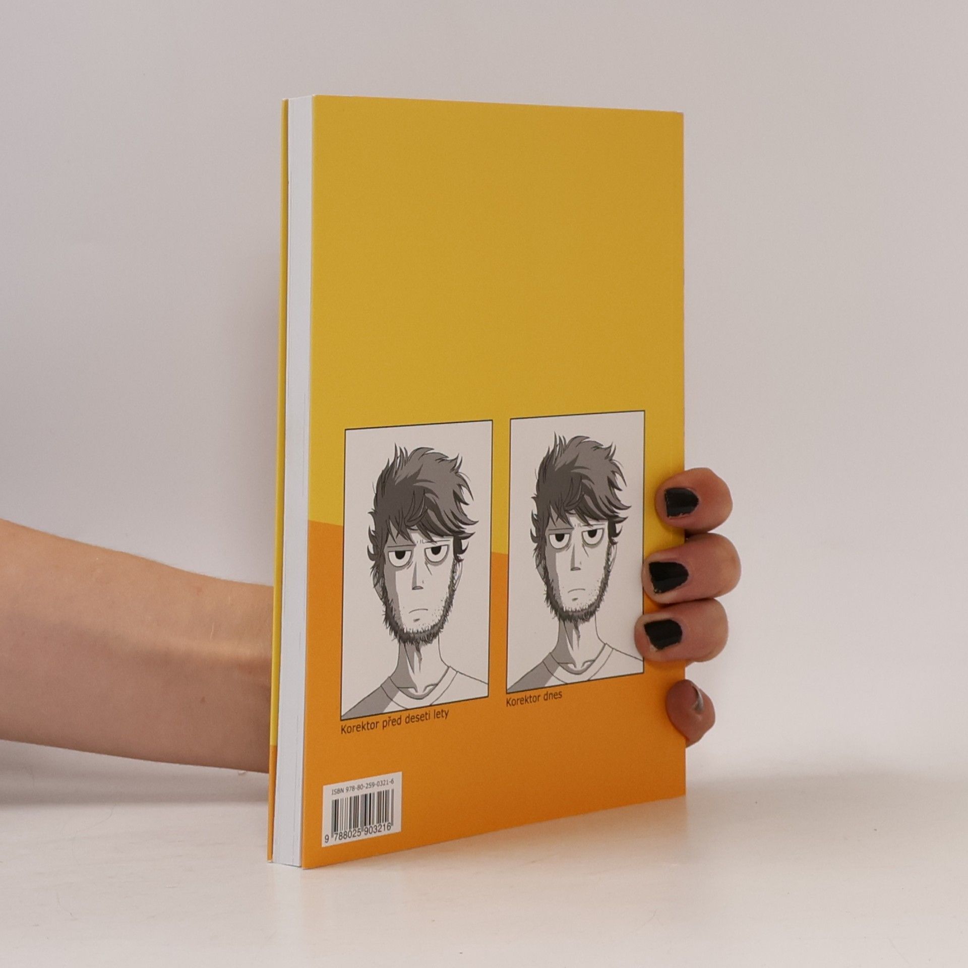 Vilém Koubek Korektor: Komiks o chybách a o životě