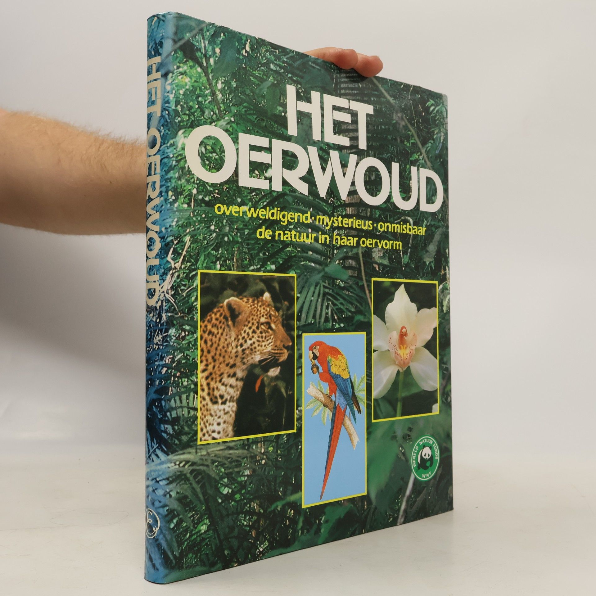 Michael Lock Het Oerwoud