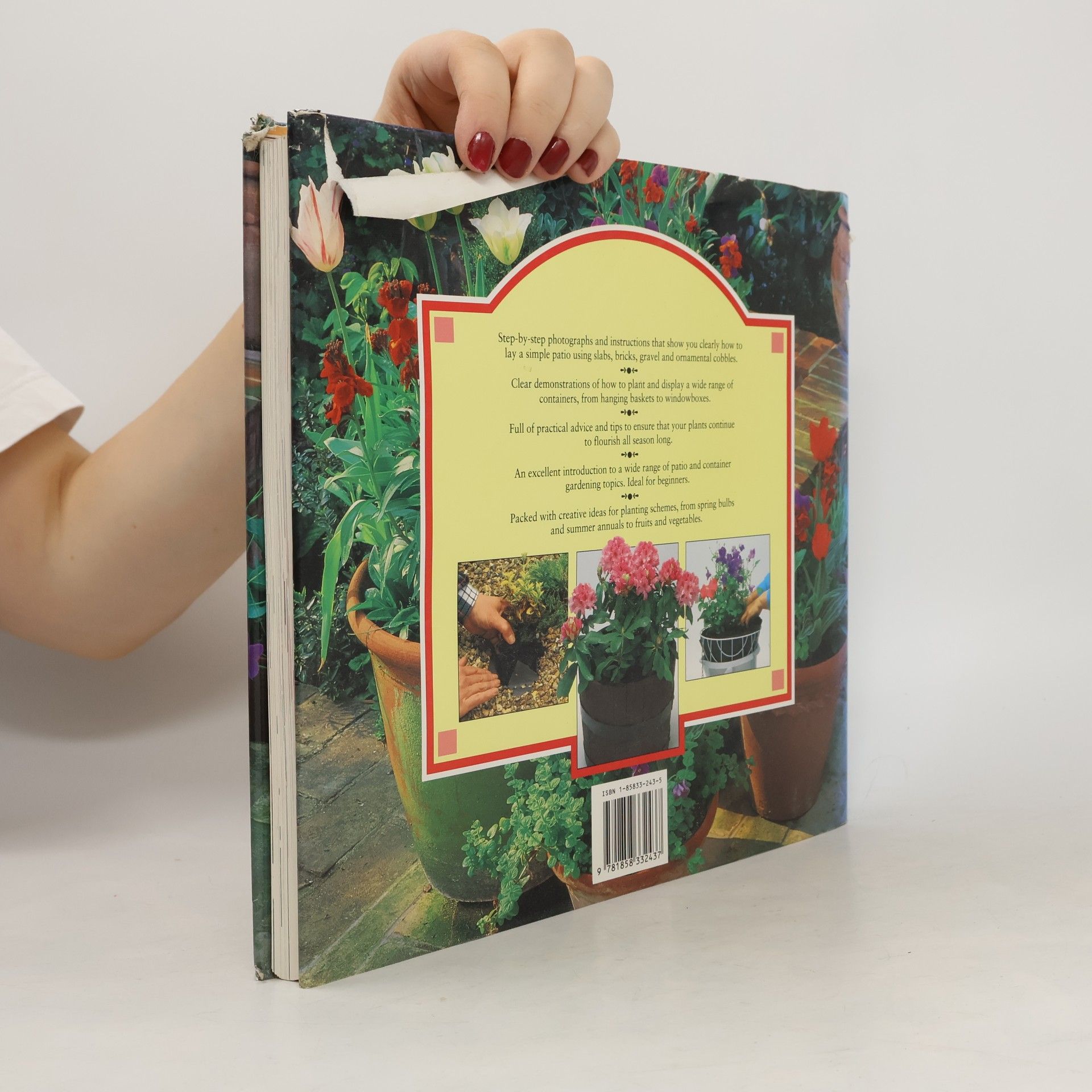 Colour Library Staff Step-By-Step Gardening Series: Creative Patio & Container Gardening