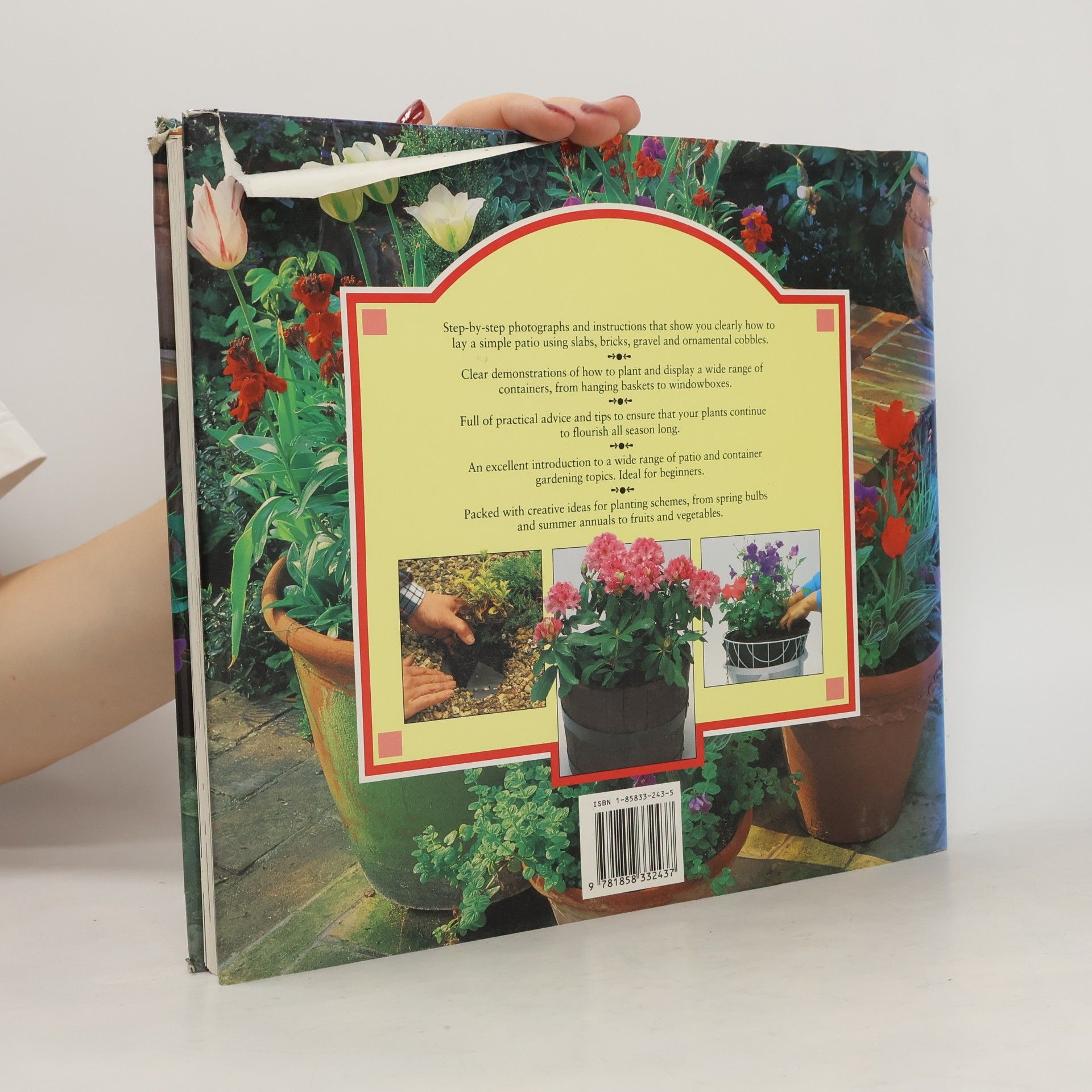 Colour Library Staff Step-By-Step Gardening Series: Creative Patio & Container Gardening