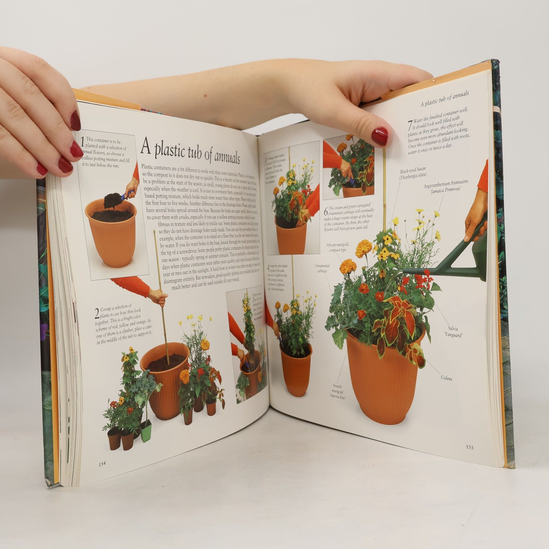 Colour Library Staff Step-By-Step Gardening Series: Creative Patio & Container Gardening