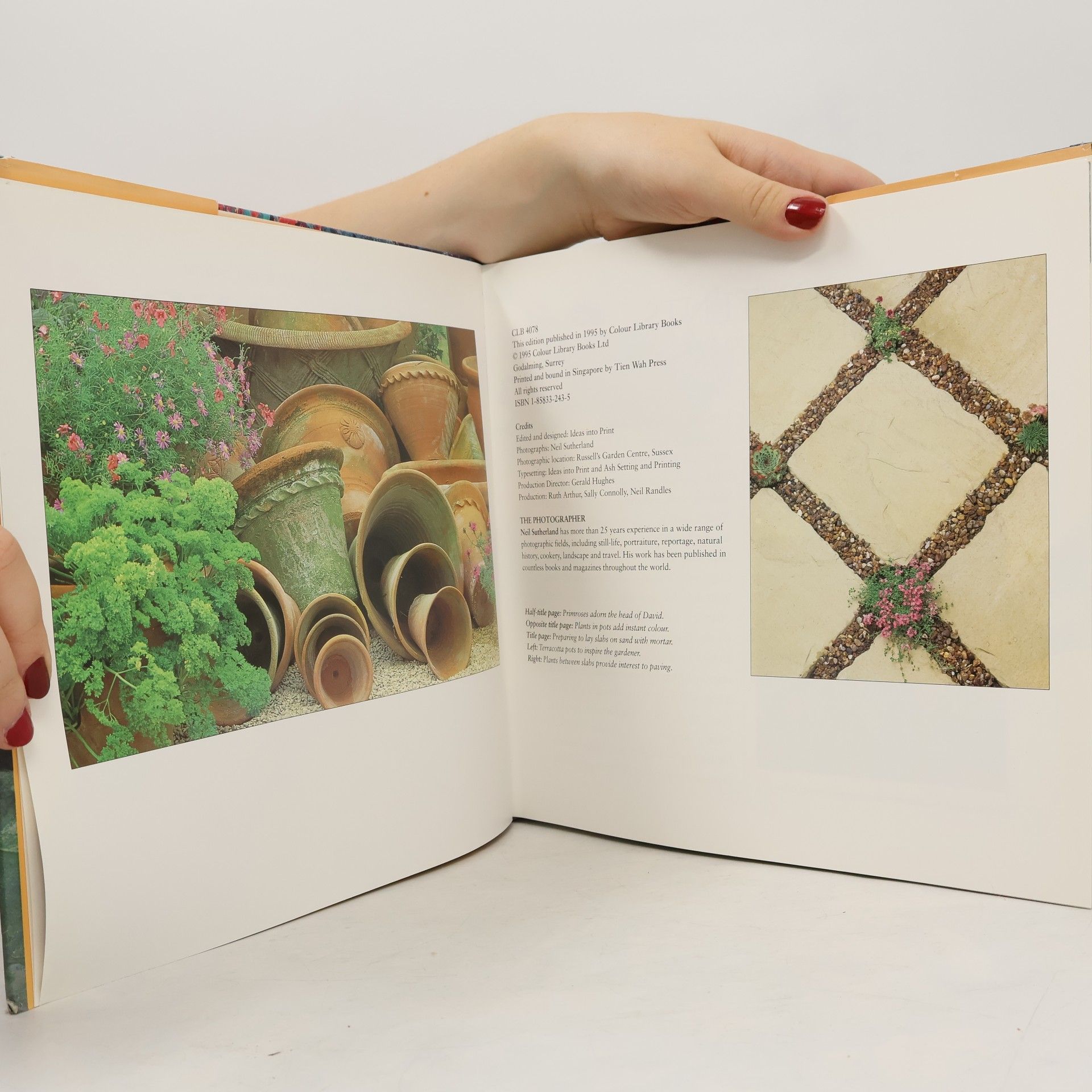 Colour Library Staff Step-By-Step Gardening Series: Creative Patio & Container Gardening