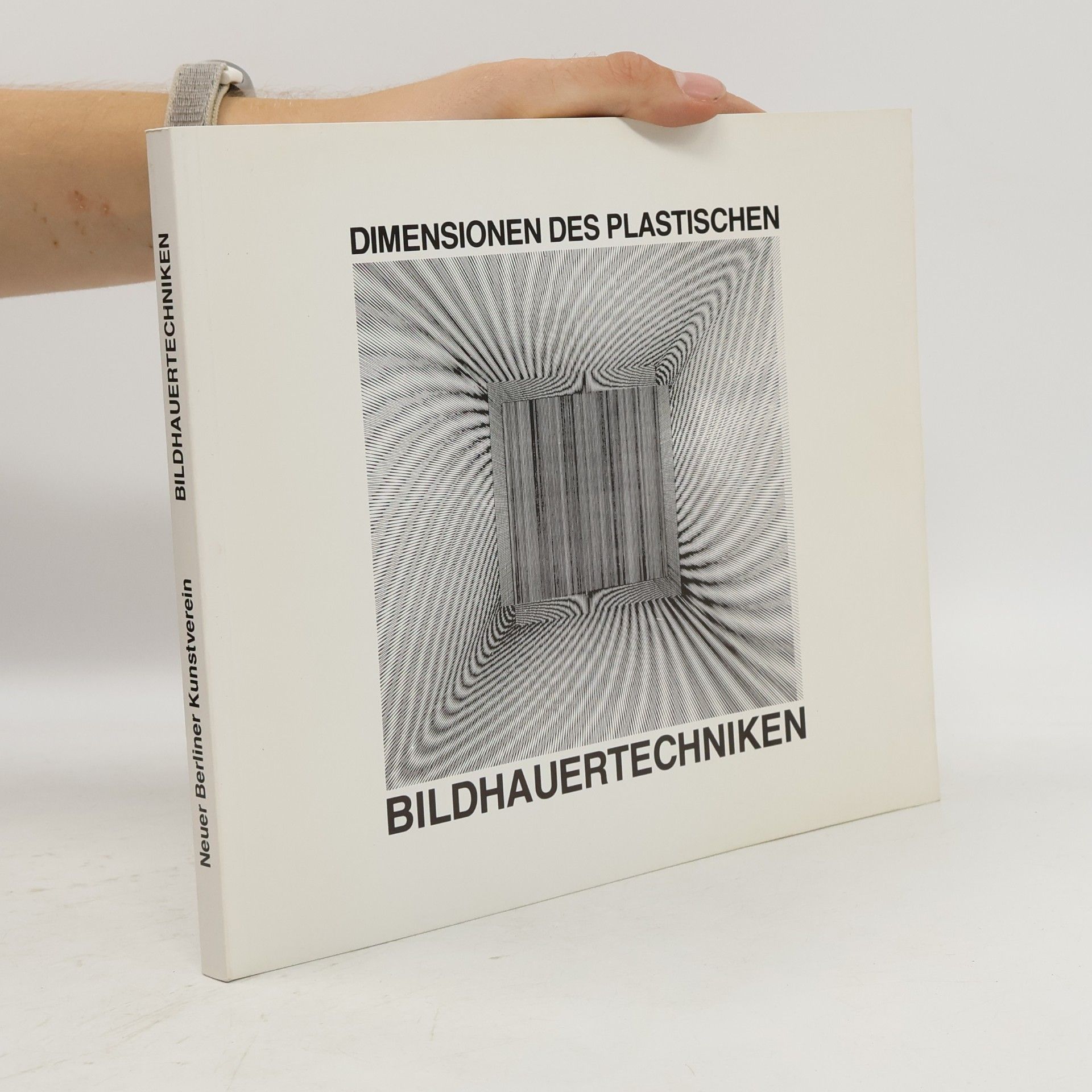 Collectif d'auteurs Dimensionen des Plastischen. Bildhauertechniken.