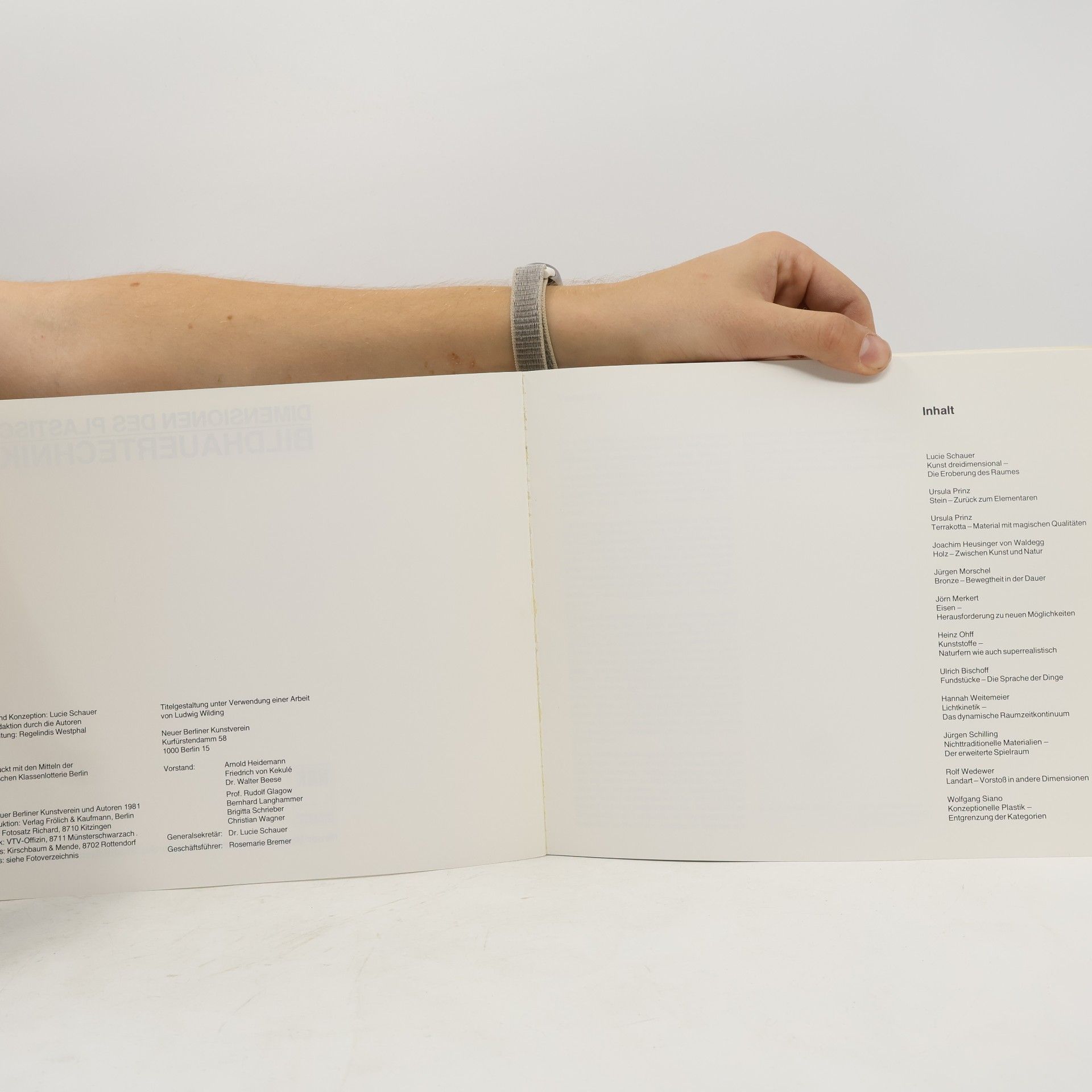 Collectif d'auteurs Dimensionen des Plastischen. Bildhauertechniken.