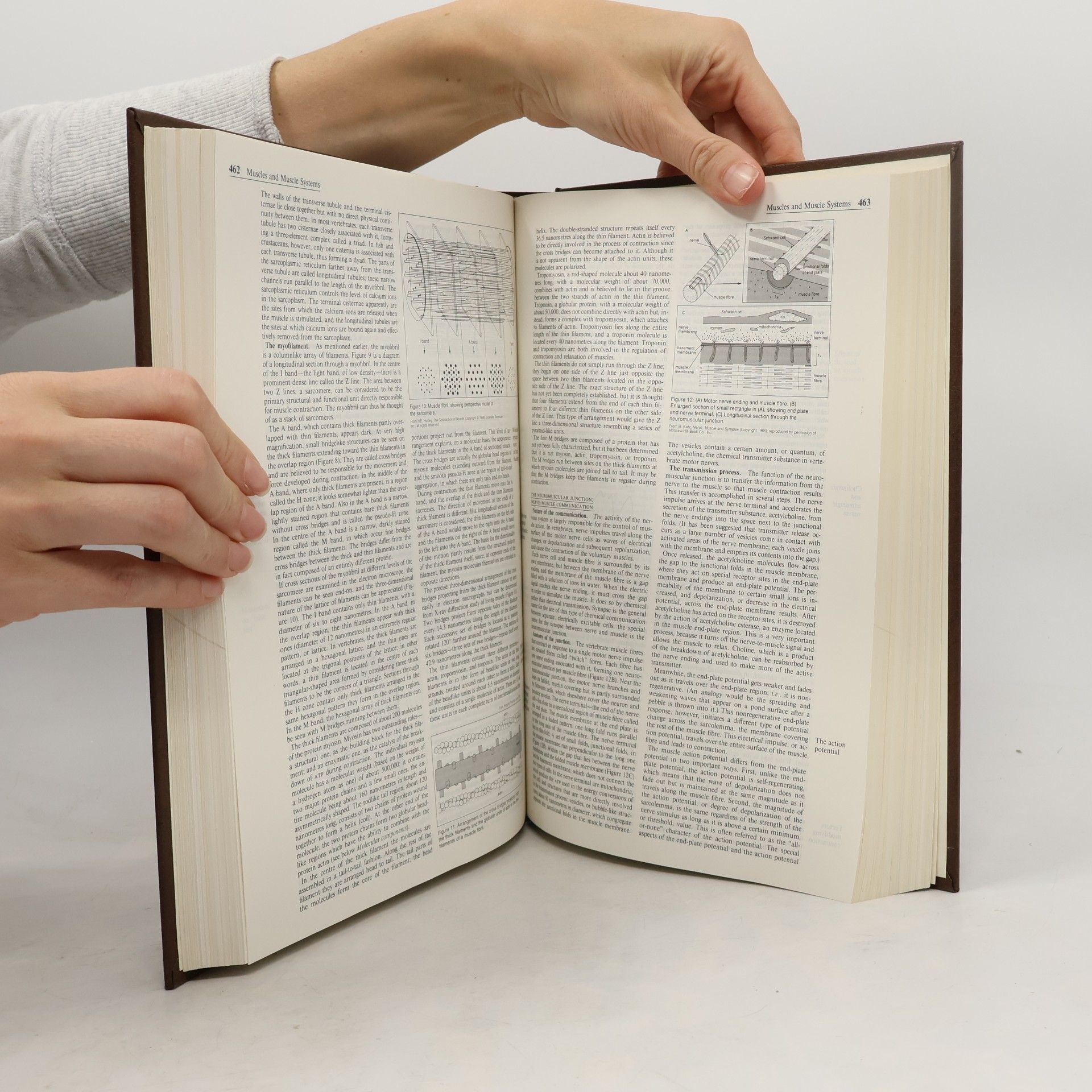 Philip W Goetz Macropedia: Knowledge in Depth - 24: Encyclopaedia Britannica