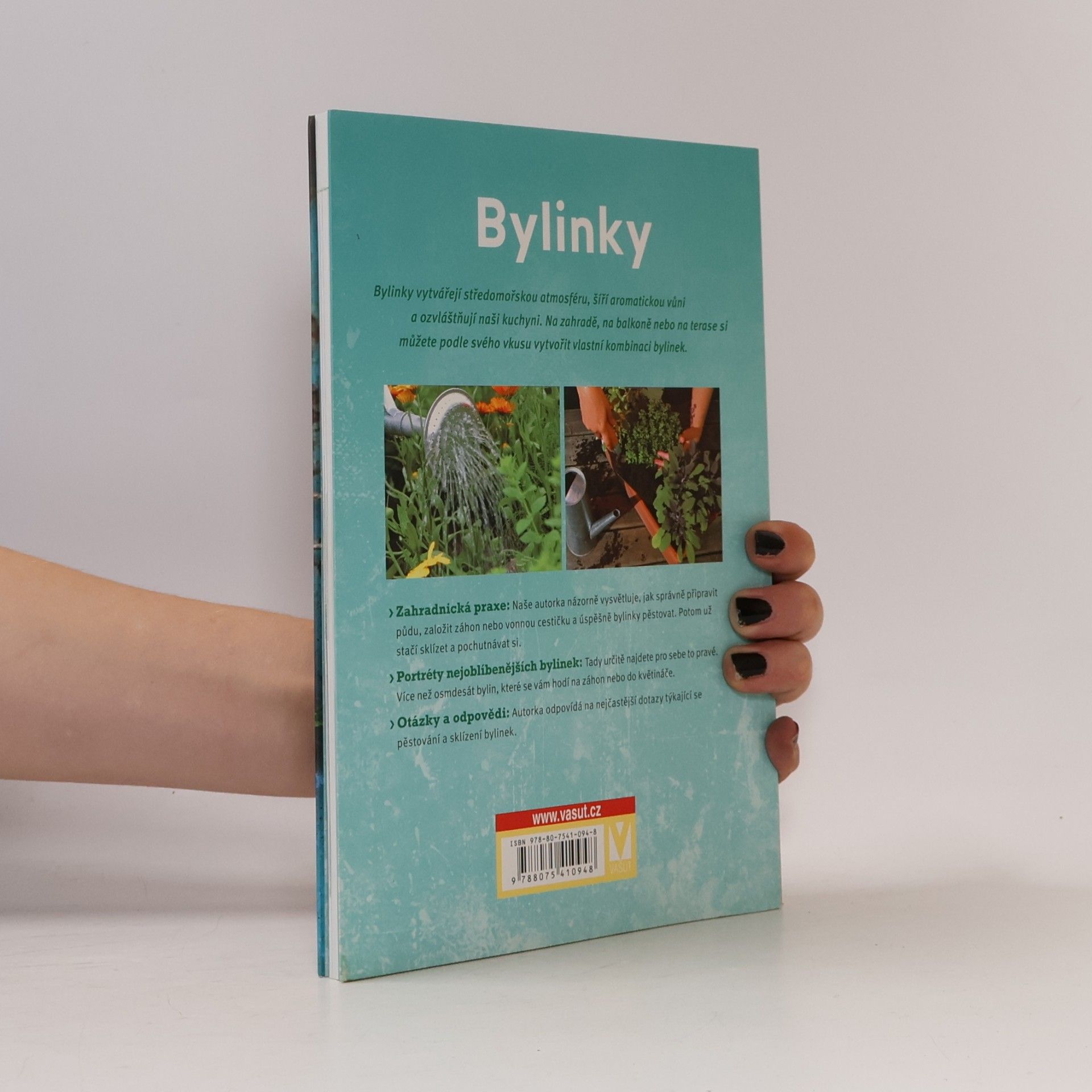 Collectif d'auteurs Bylinky