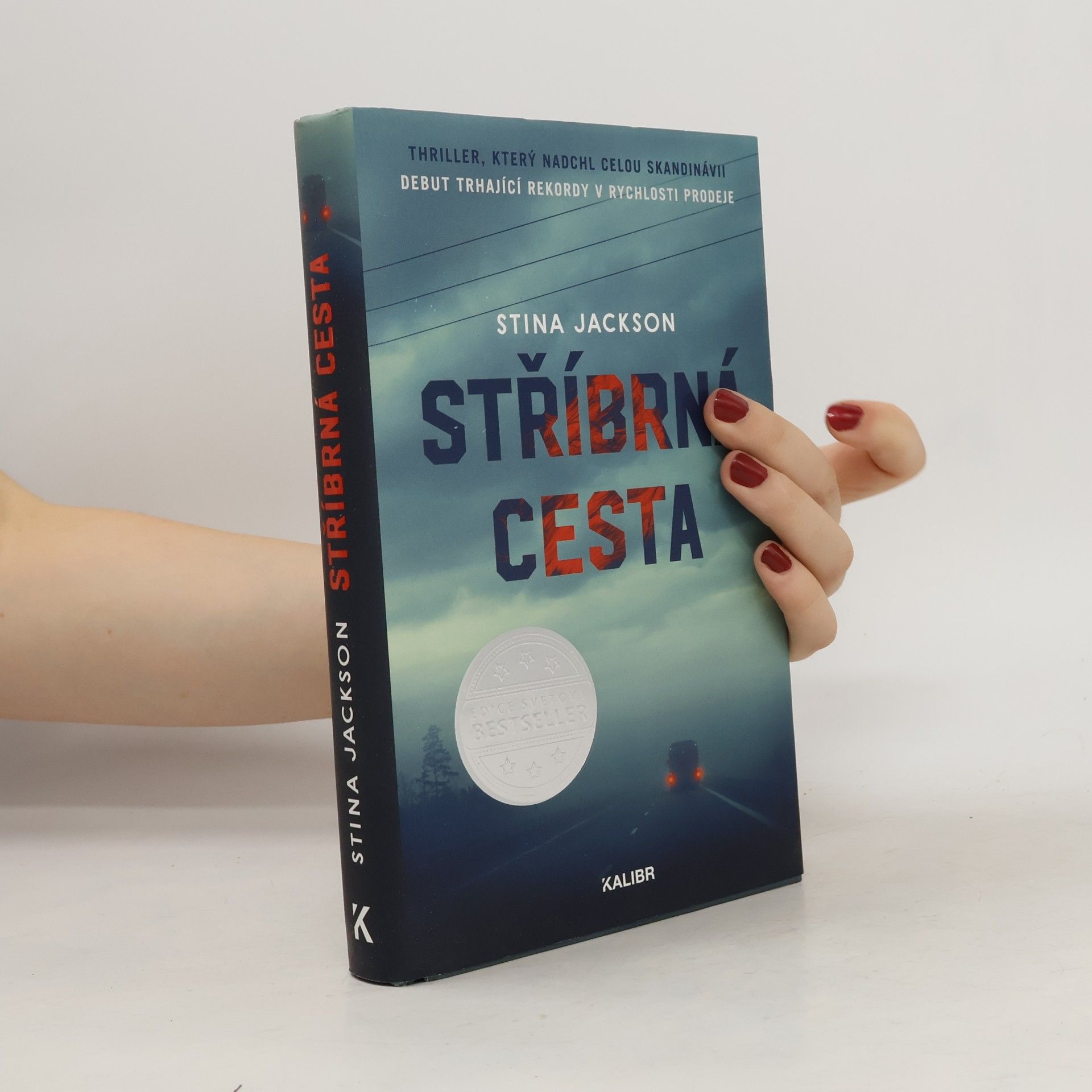 Helena Matochová Stříbrná cesta