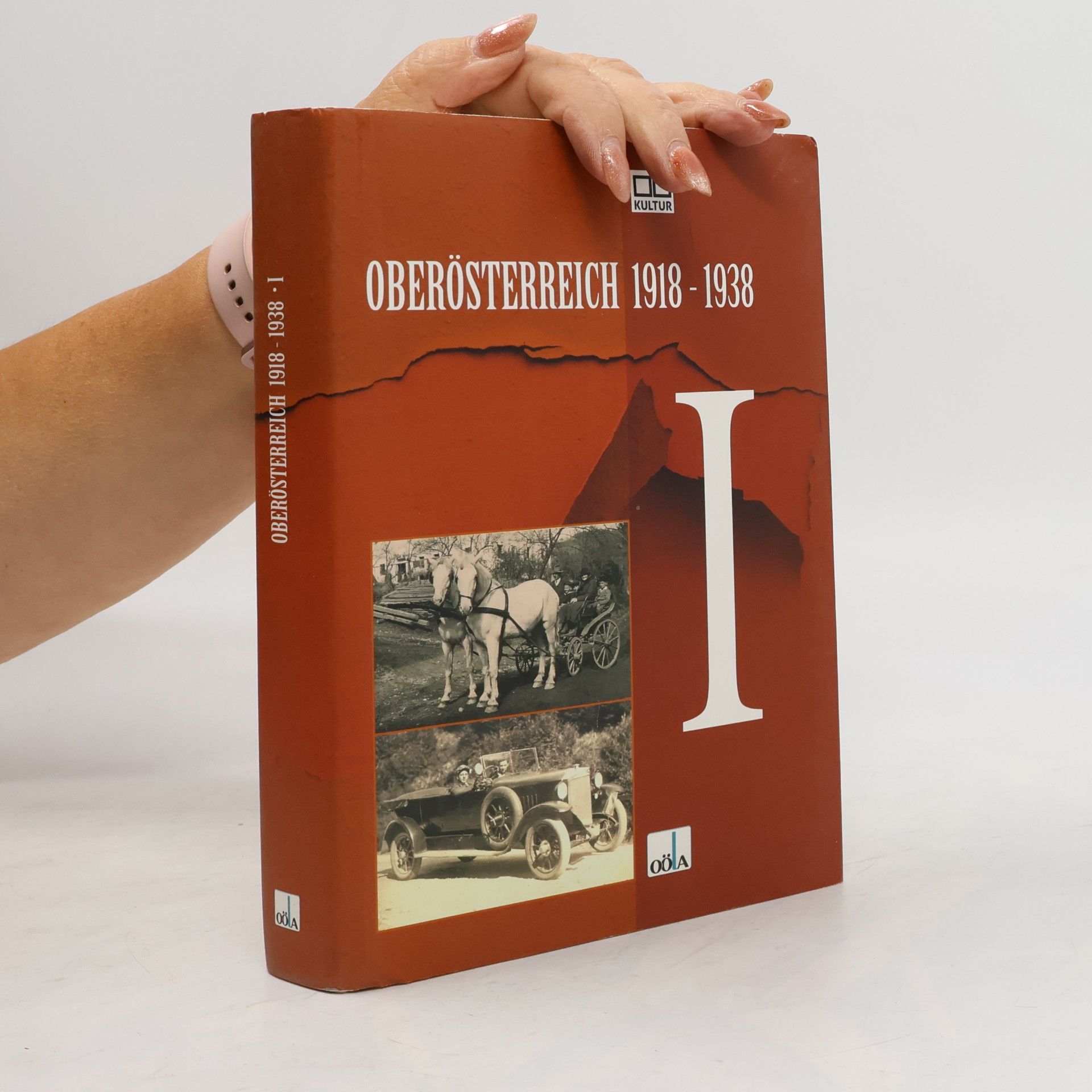 Oberösterreich 1918-1938