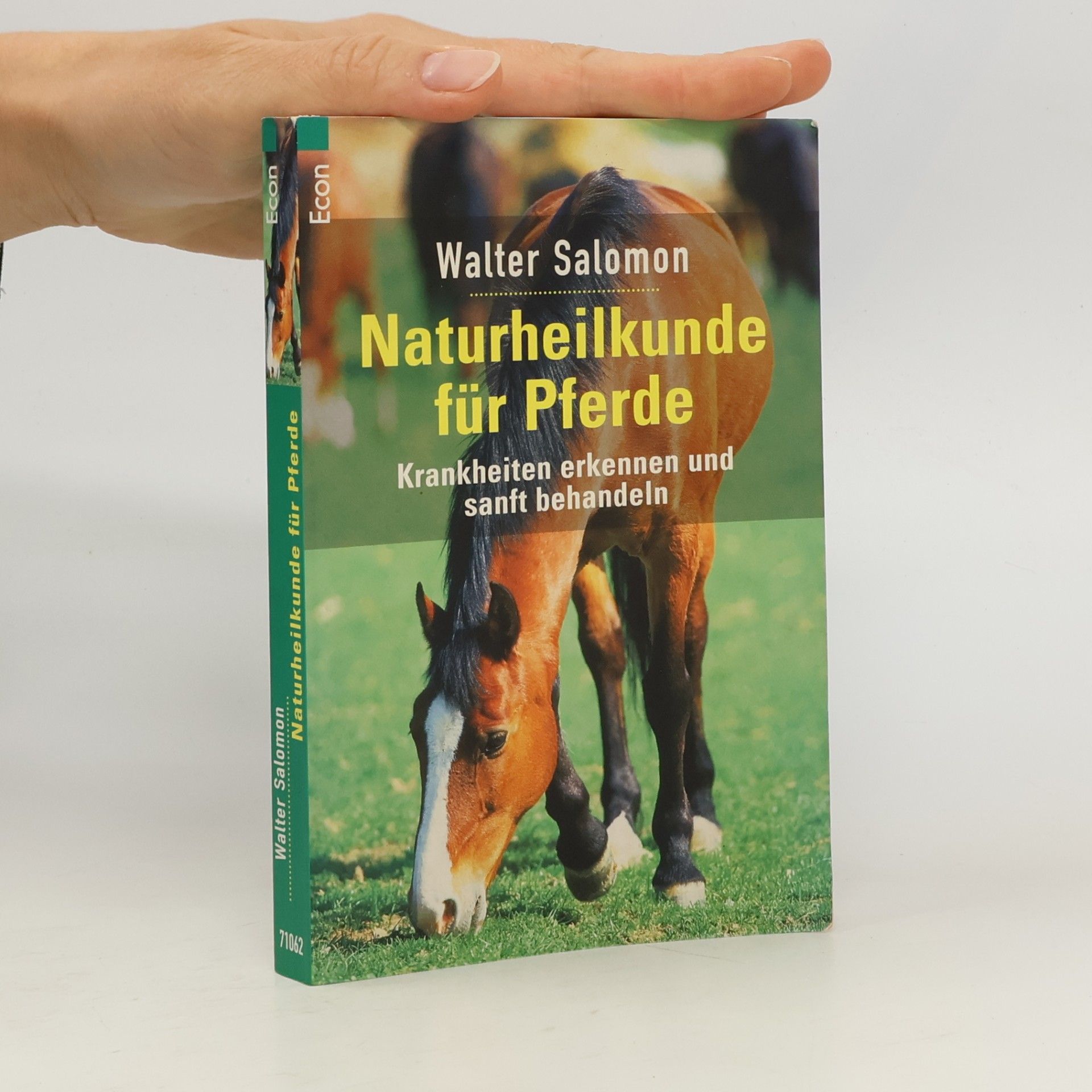 Naturheilkunde für Pferde. Krankheiten erkennen und sanft behandeln.