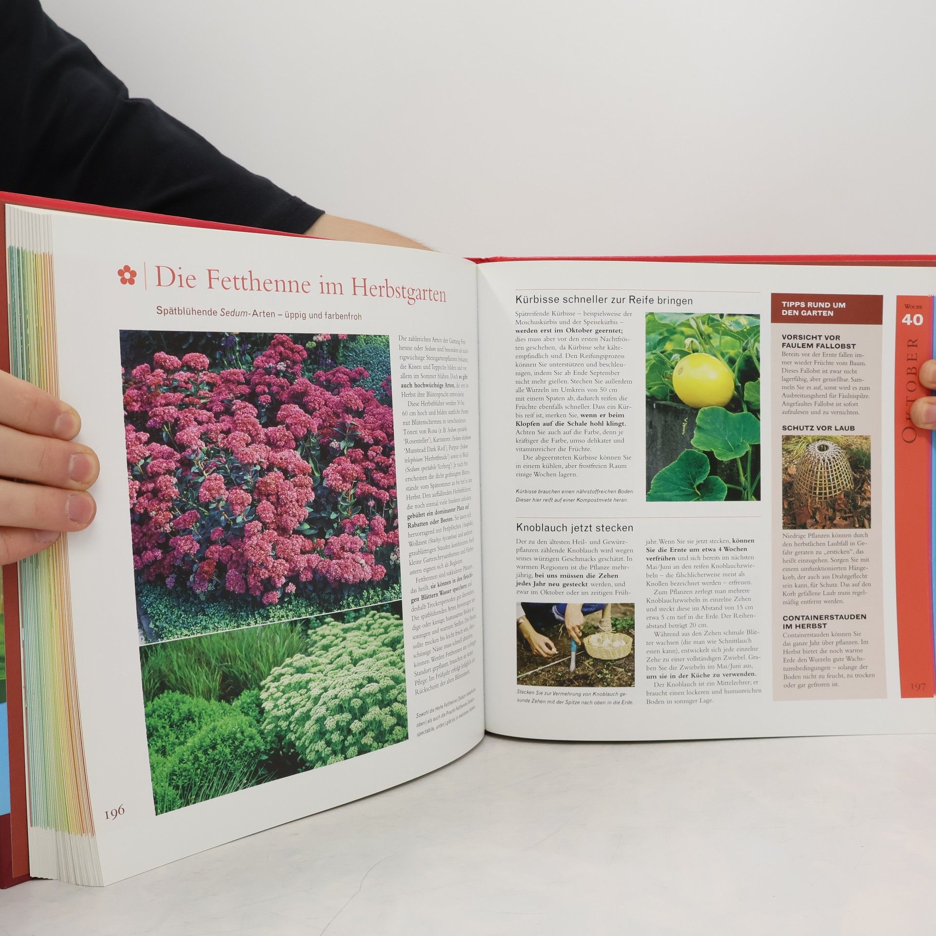 Feryal Kanbay Reader's-Digest-Gartenjahrbuch 2009/2010