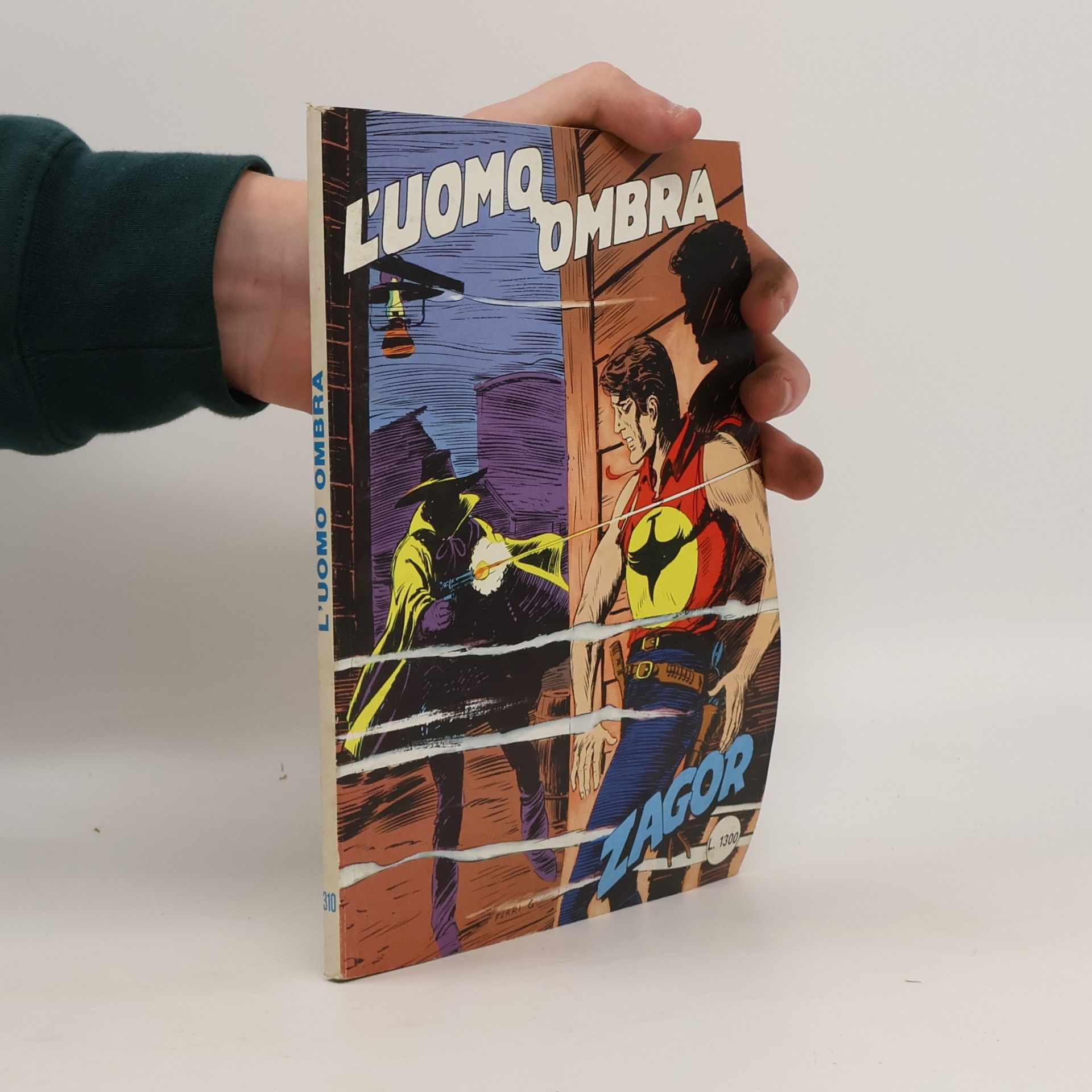 AA.VV. Zagor 310
