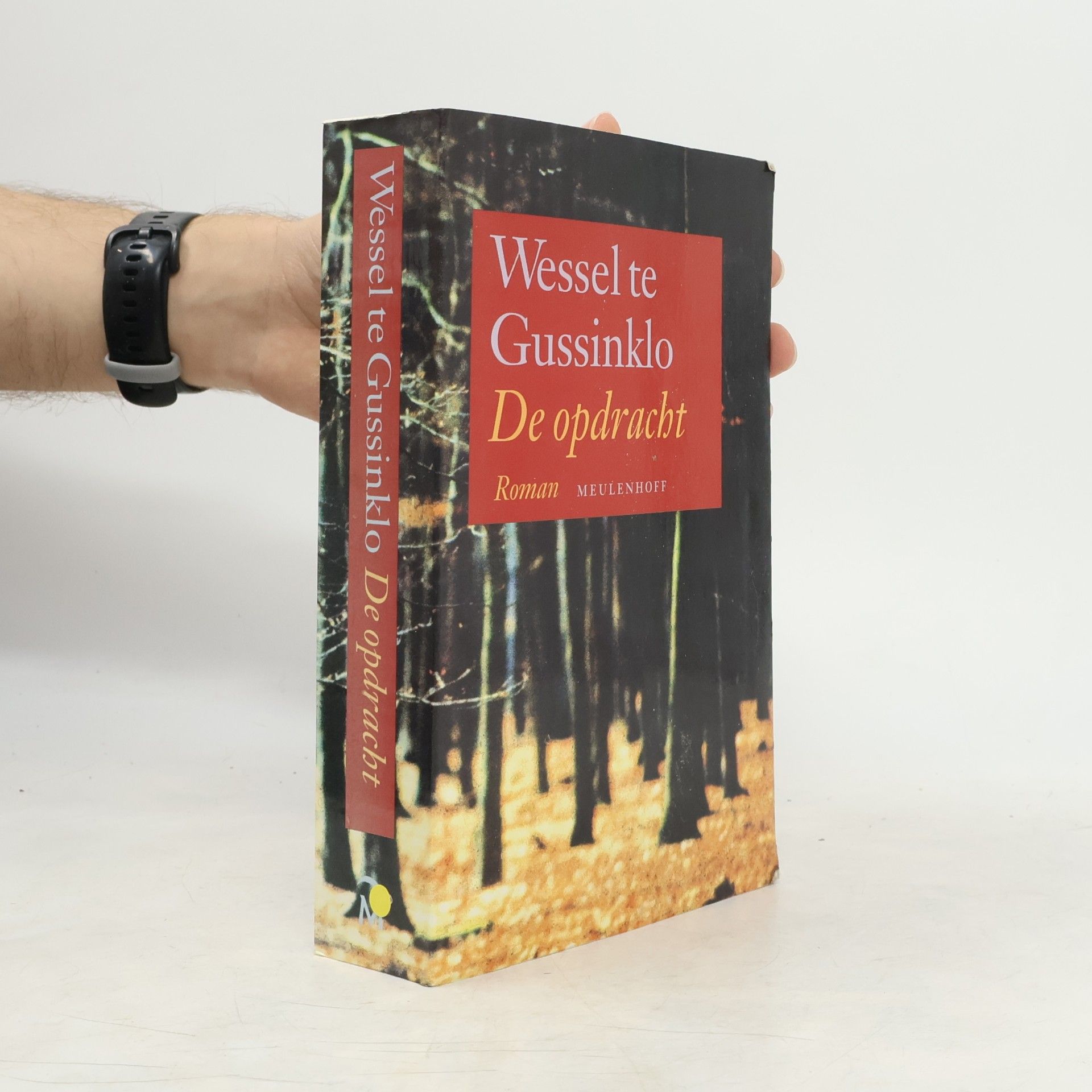 Wessel te Gussinklo De opdracht