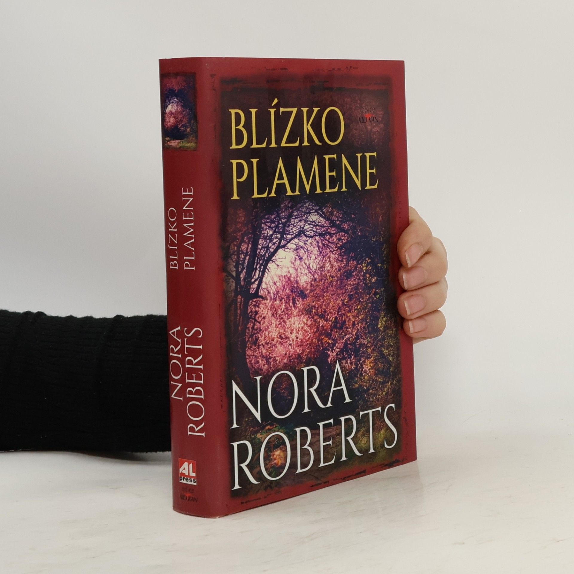 Nora Roberts Blízko plamene