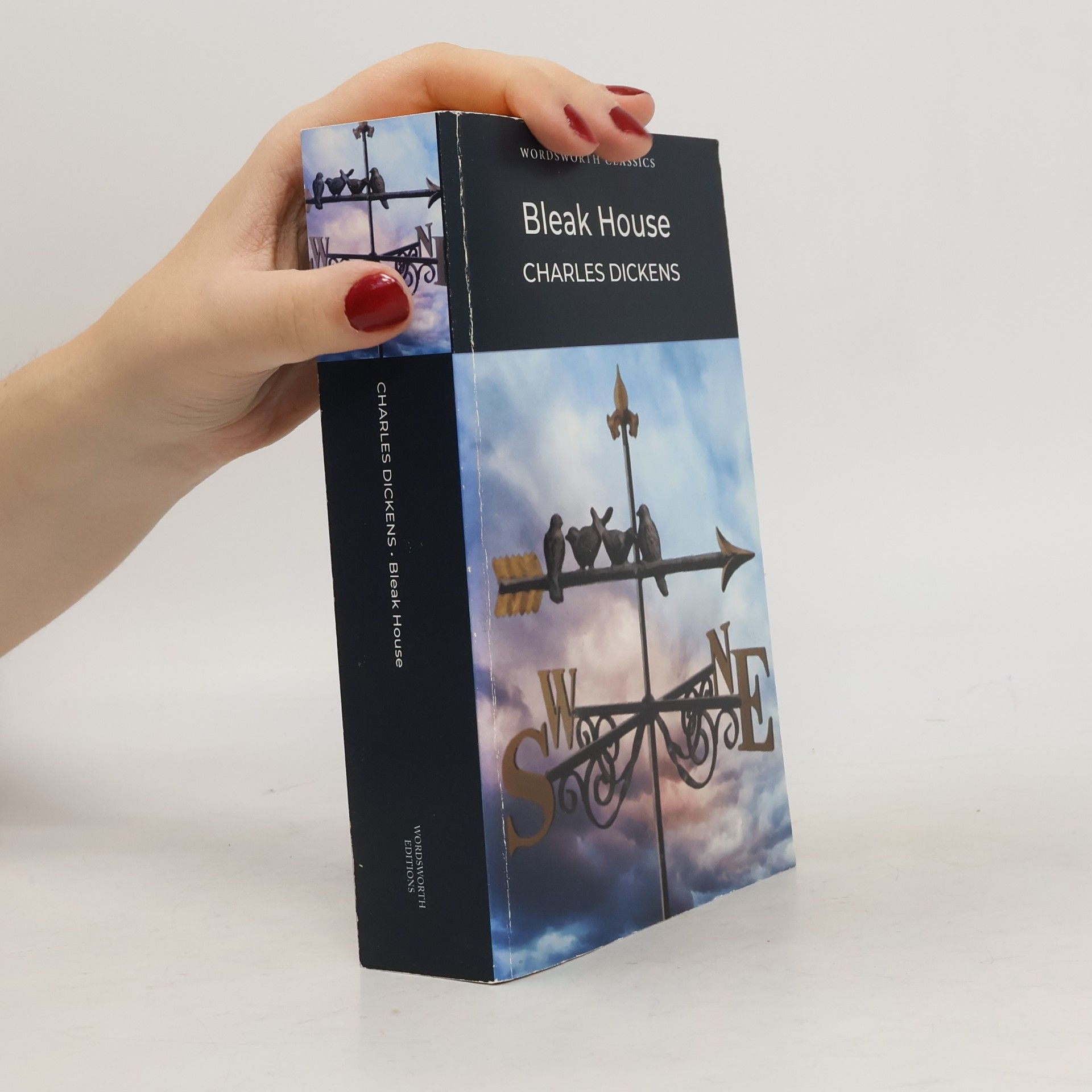 Charles Dickens Bleak House