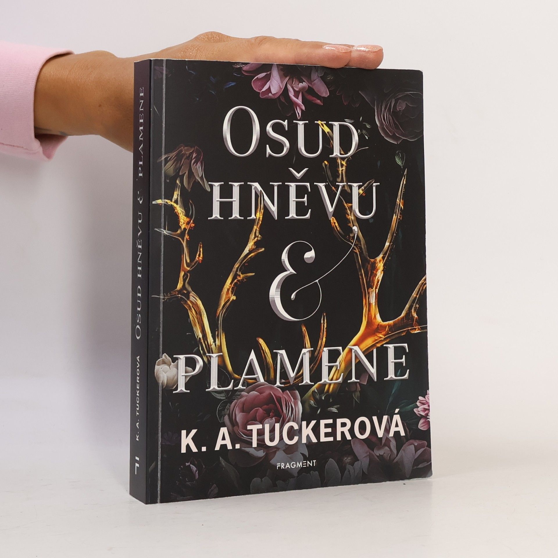 K. A. Tucker Osud hněvu & plamene