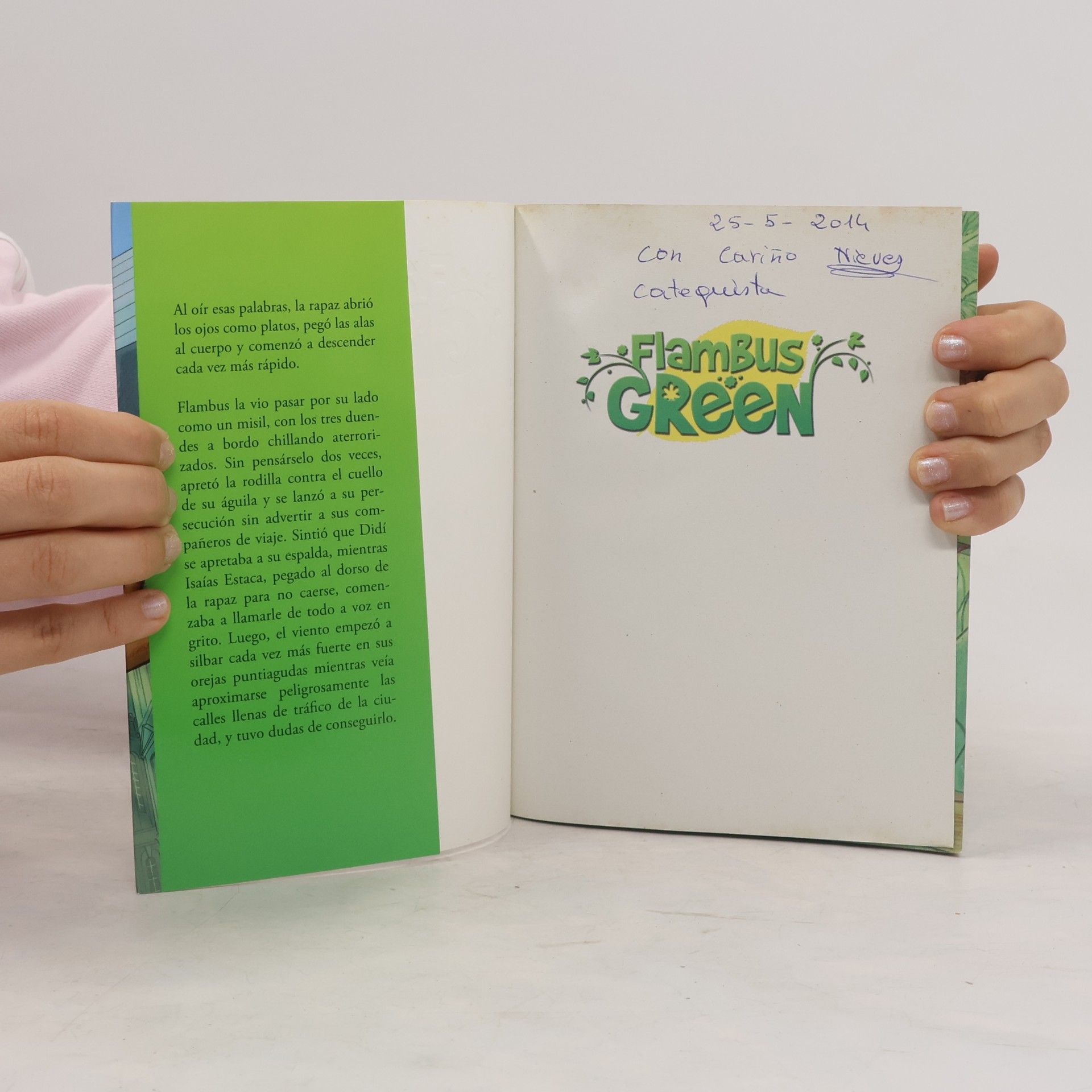 Roberto Pavanello Flambus Green. Un duende en la ciudad
