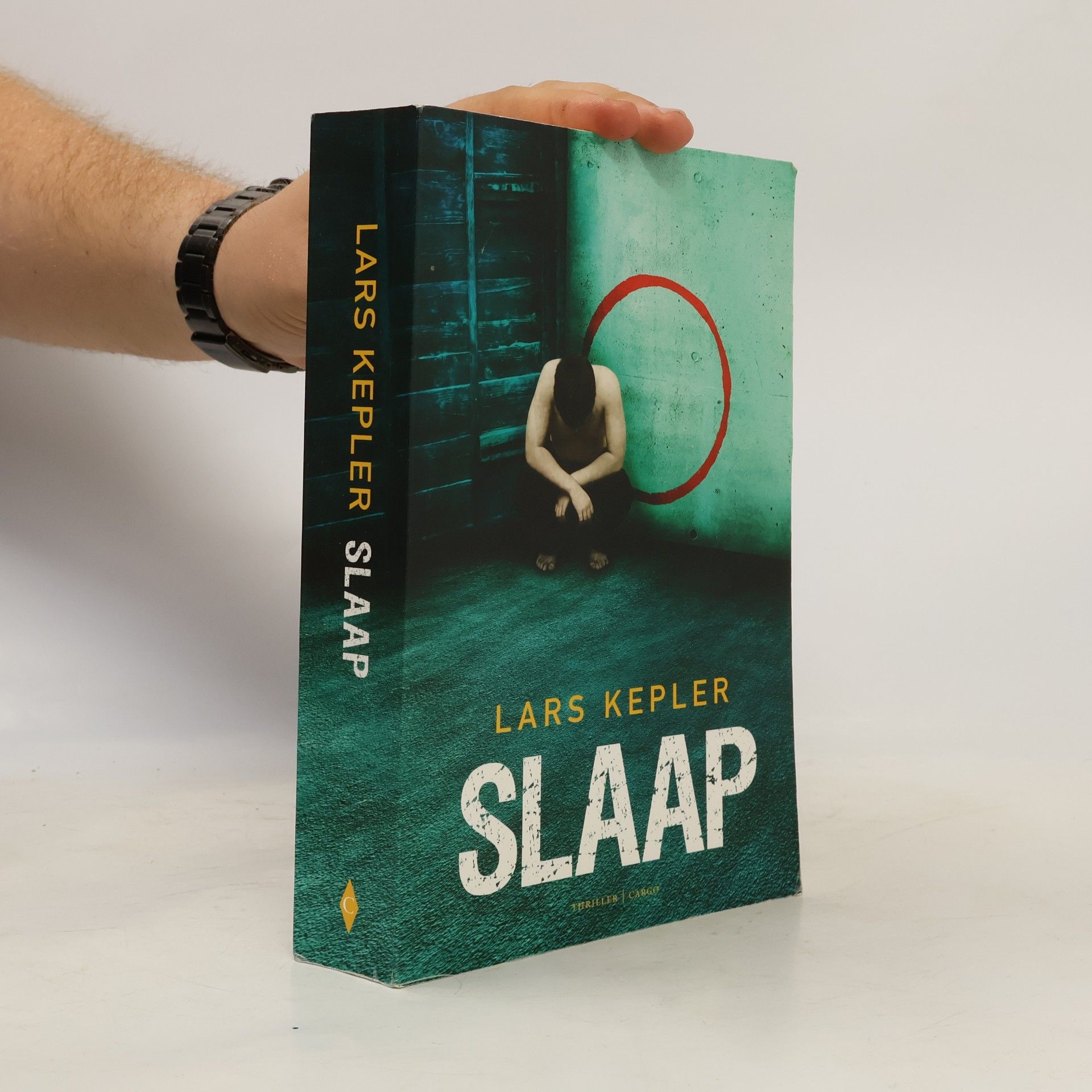 Lars Kepler Slaap