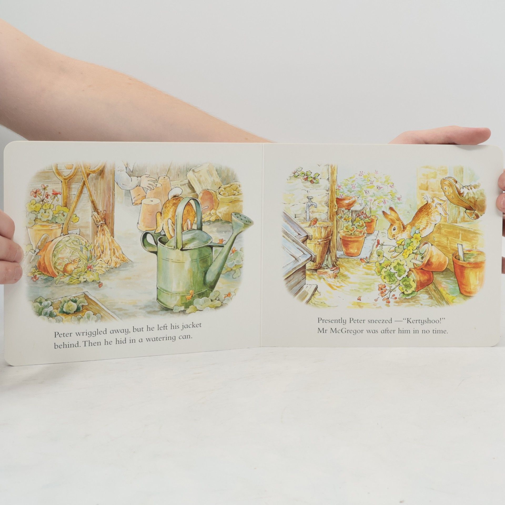 Beatrix Potter The Tale of Peter Rabbit