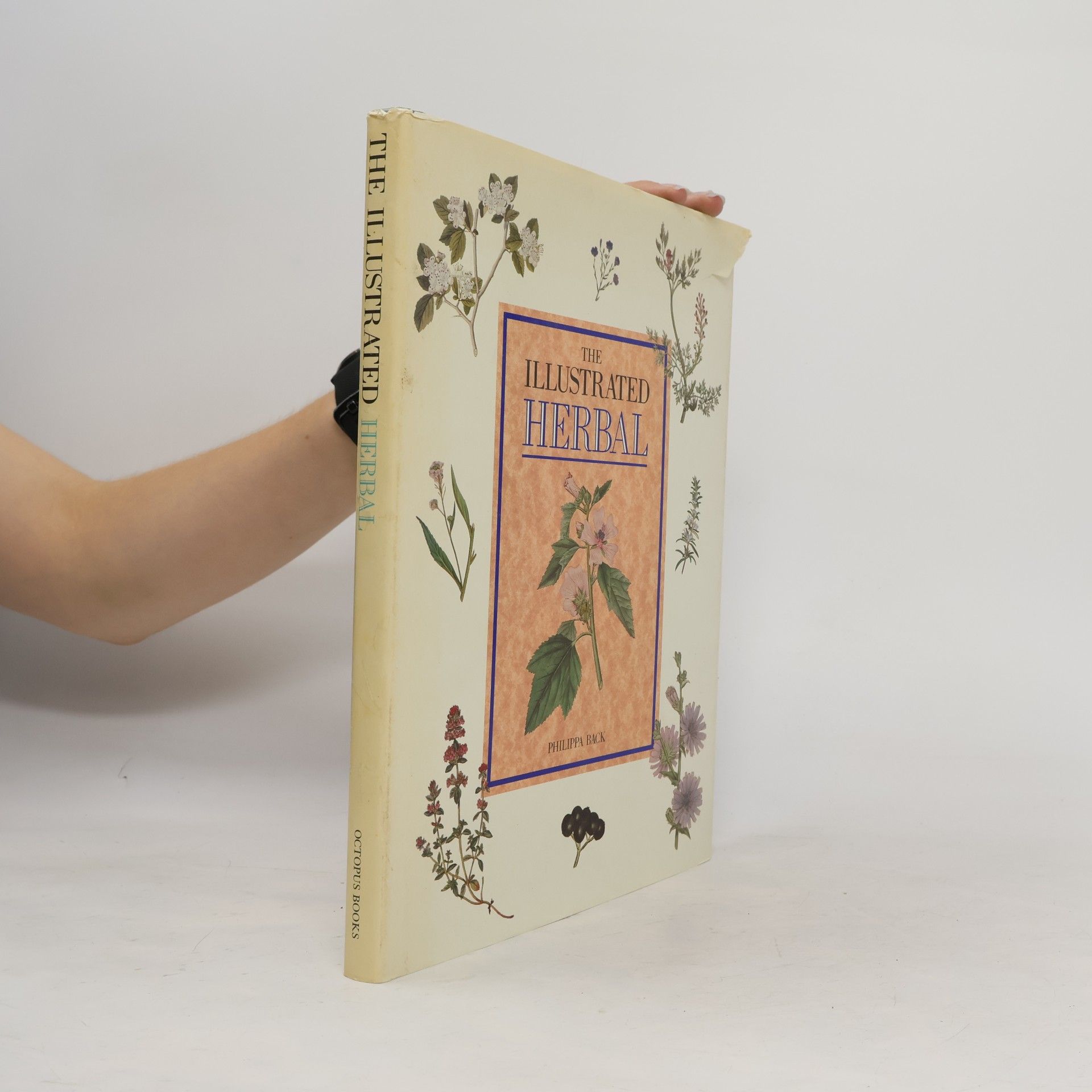 Philippa Rack The Illustrated Herbal