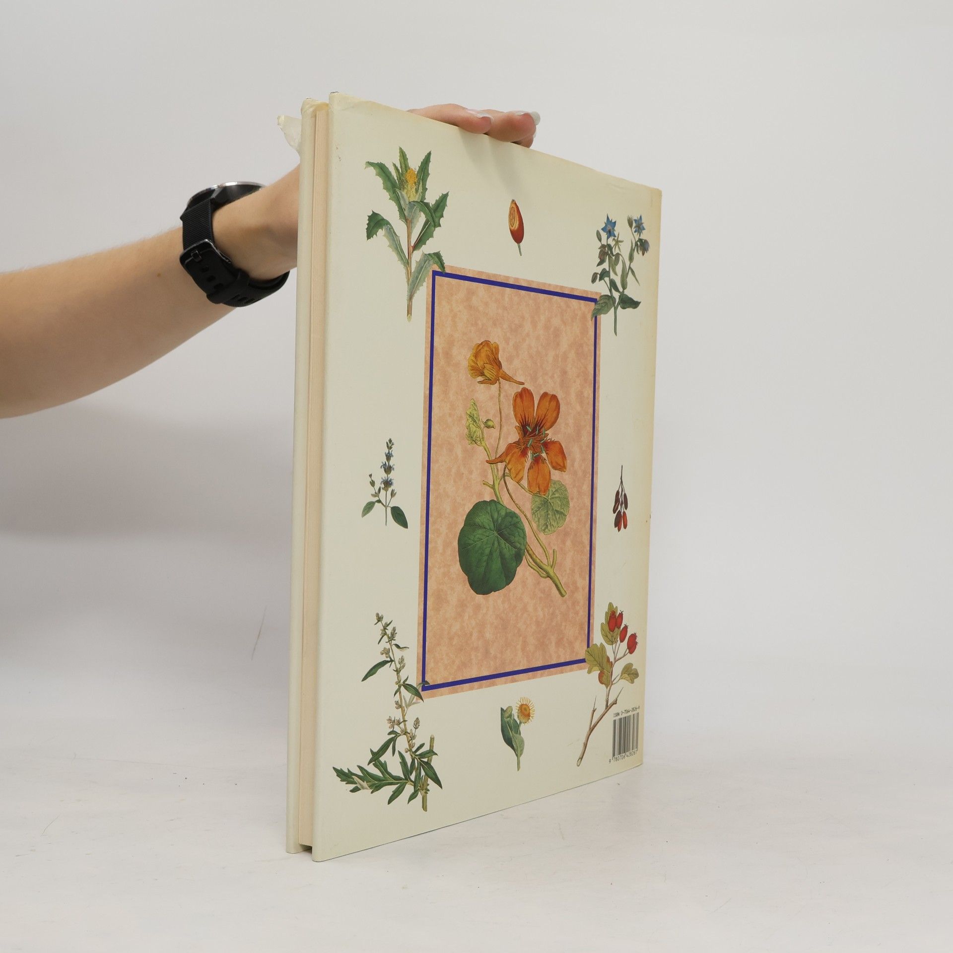 Philippa Rack The Illustrated Herbal