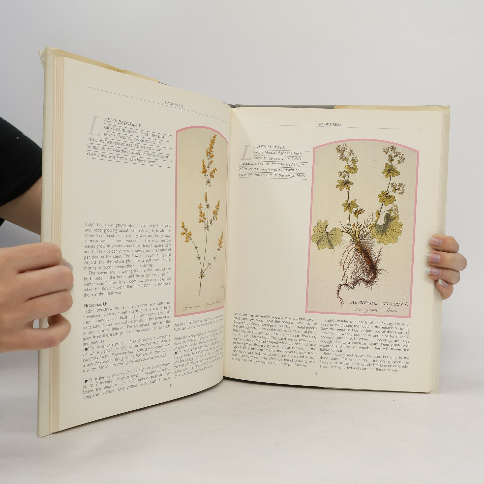 Philippa Rack The Illustrated Herbal