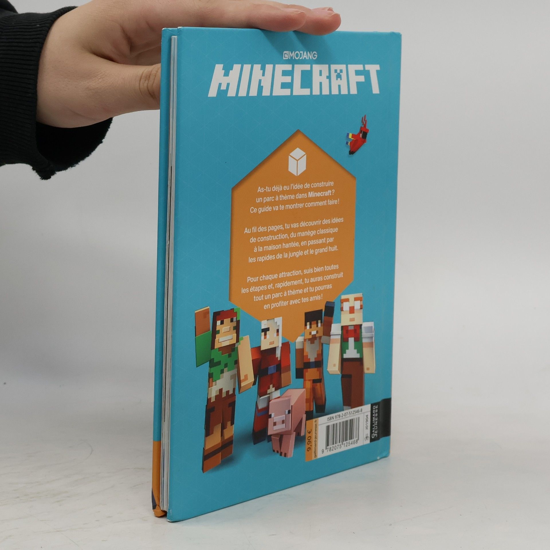 Alexandre Fil Minecraft: Construis un parc à thème