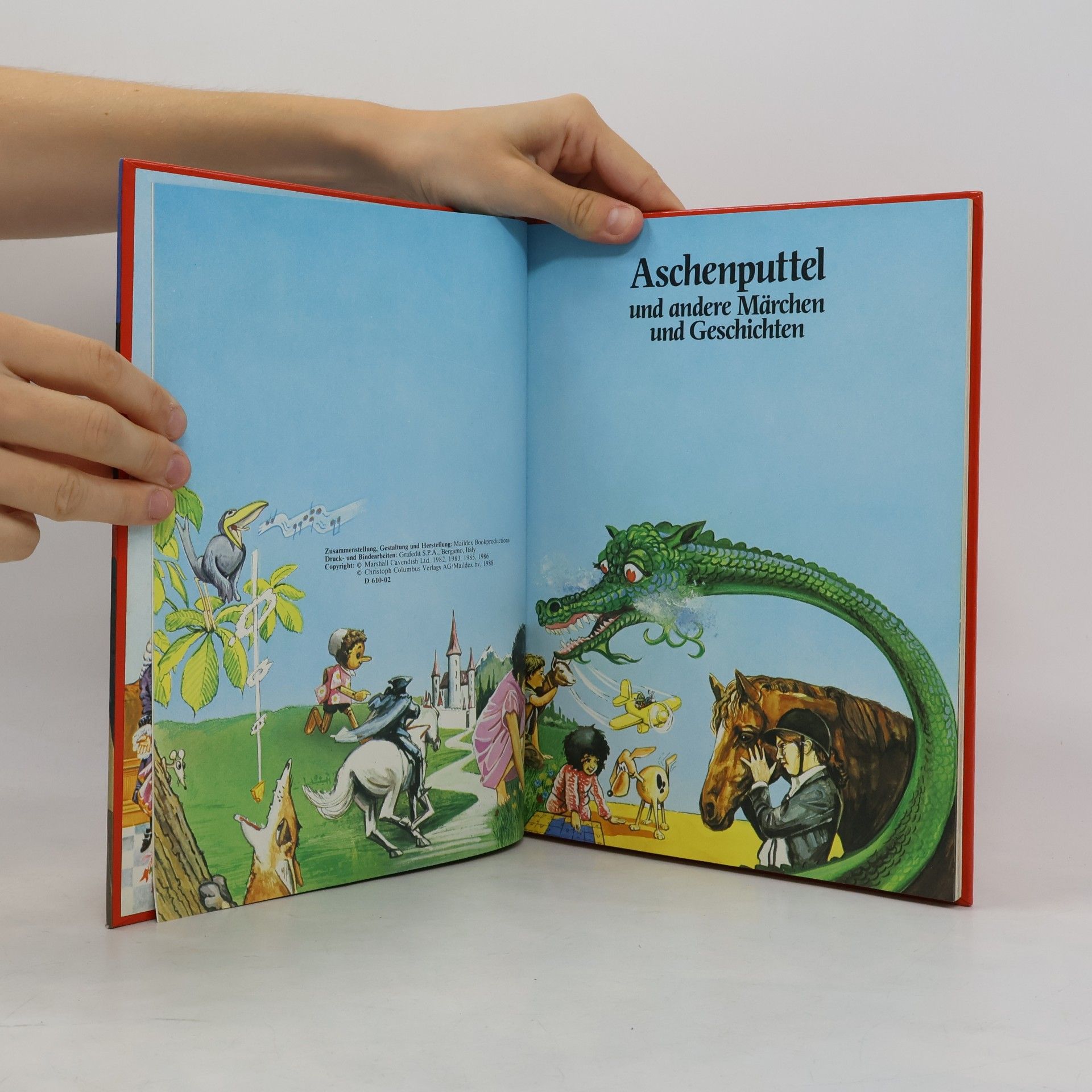 kolektiv Aschenputtel und andere Märchen und Geschichten