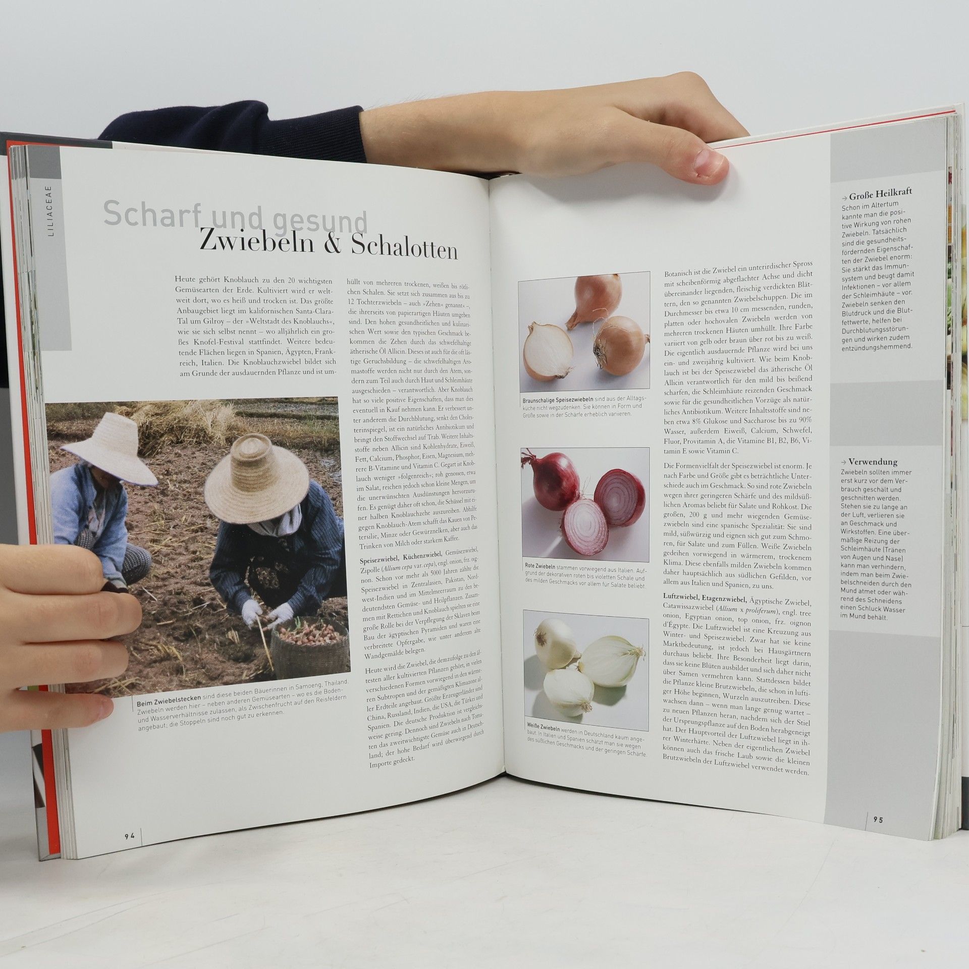 Odette Teubner Das grosse Buch vom Gemüse